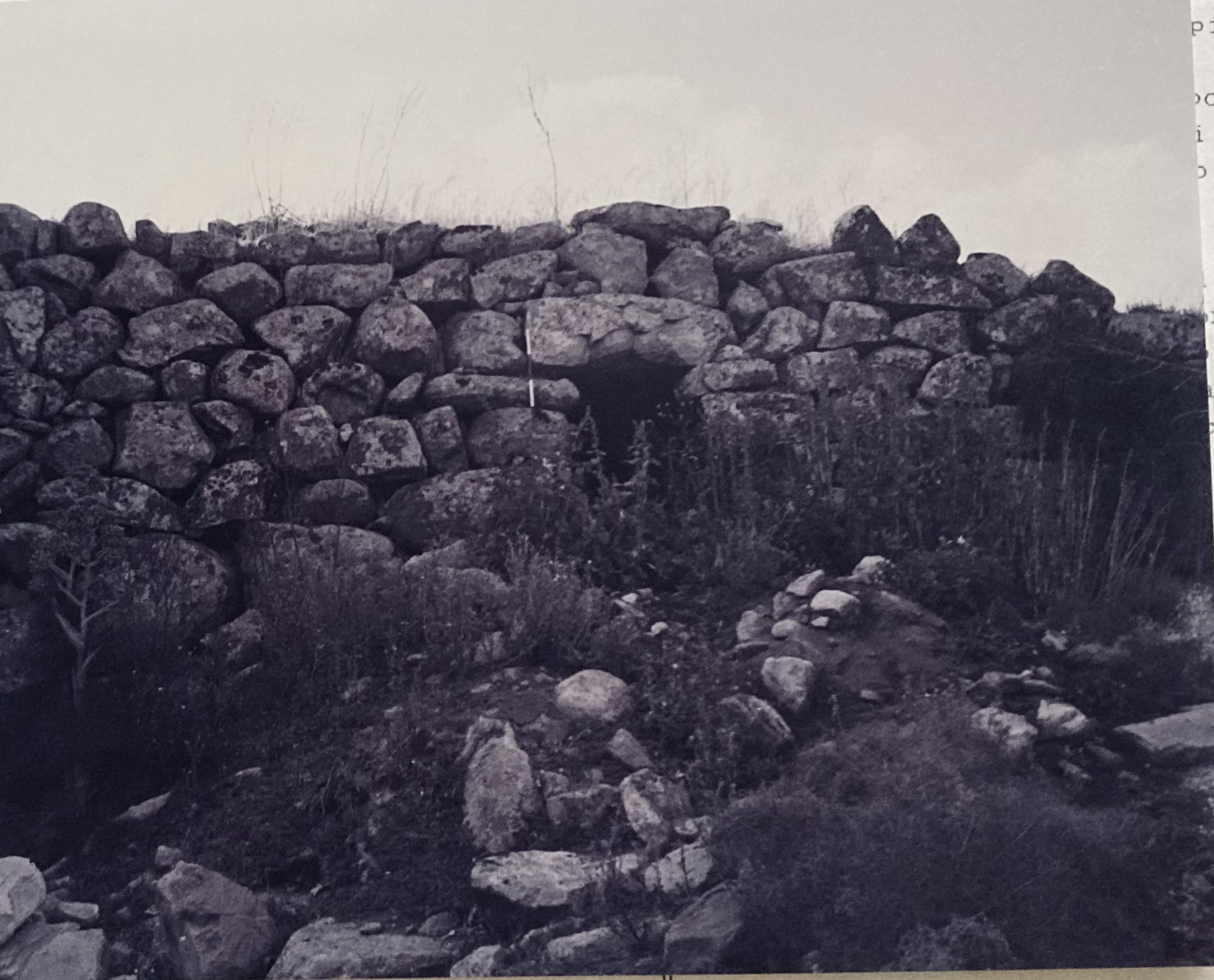 Nuraghe Torodda. Polilobato (nuraghe) - Benetutti (SS)  (PERIODIZZAZIONI/ PROTOSTORIA/ Eta' del Bronzo/ Eta' del Bronzo medio)