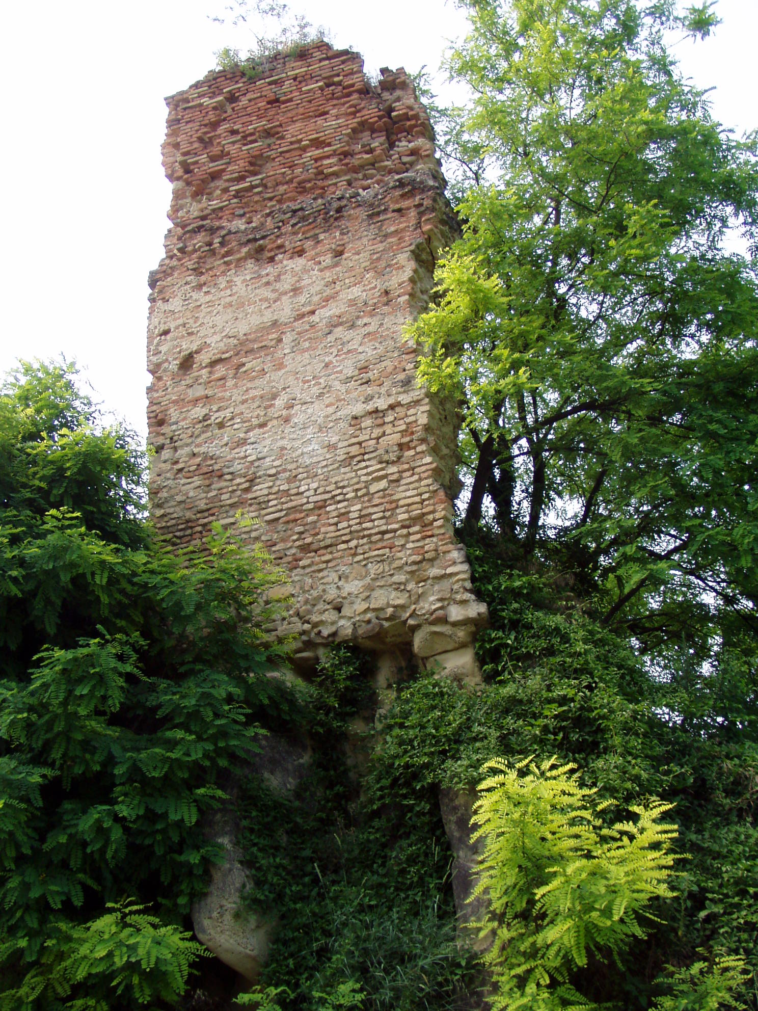Resti della torre malatestiana di Ripalta (torre, del castello) - Cartoceto (PU) 