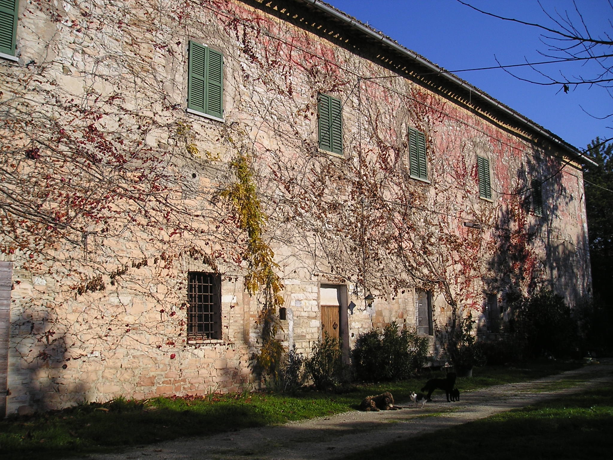 Abbadia dei Monaci (abbazia) - Fermignano (PU) 