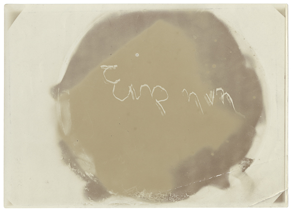 Medium - Apparizioni - Fantasmi (positivo) di Tummolo, Vincenzo (attribuito), Leon Von Erhardt (attribuito) (inizio XX)