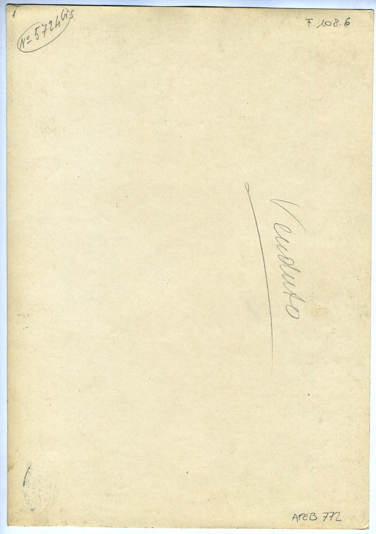 tappeto turco (positivo) di anonimo - manifattura Asia Minore, Ushak (?), secc. XVI-XVII (prima metà XX)