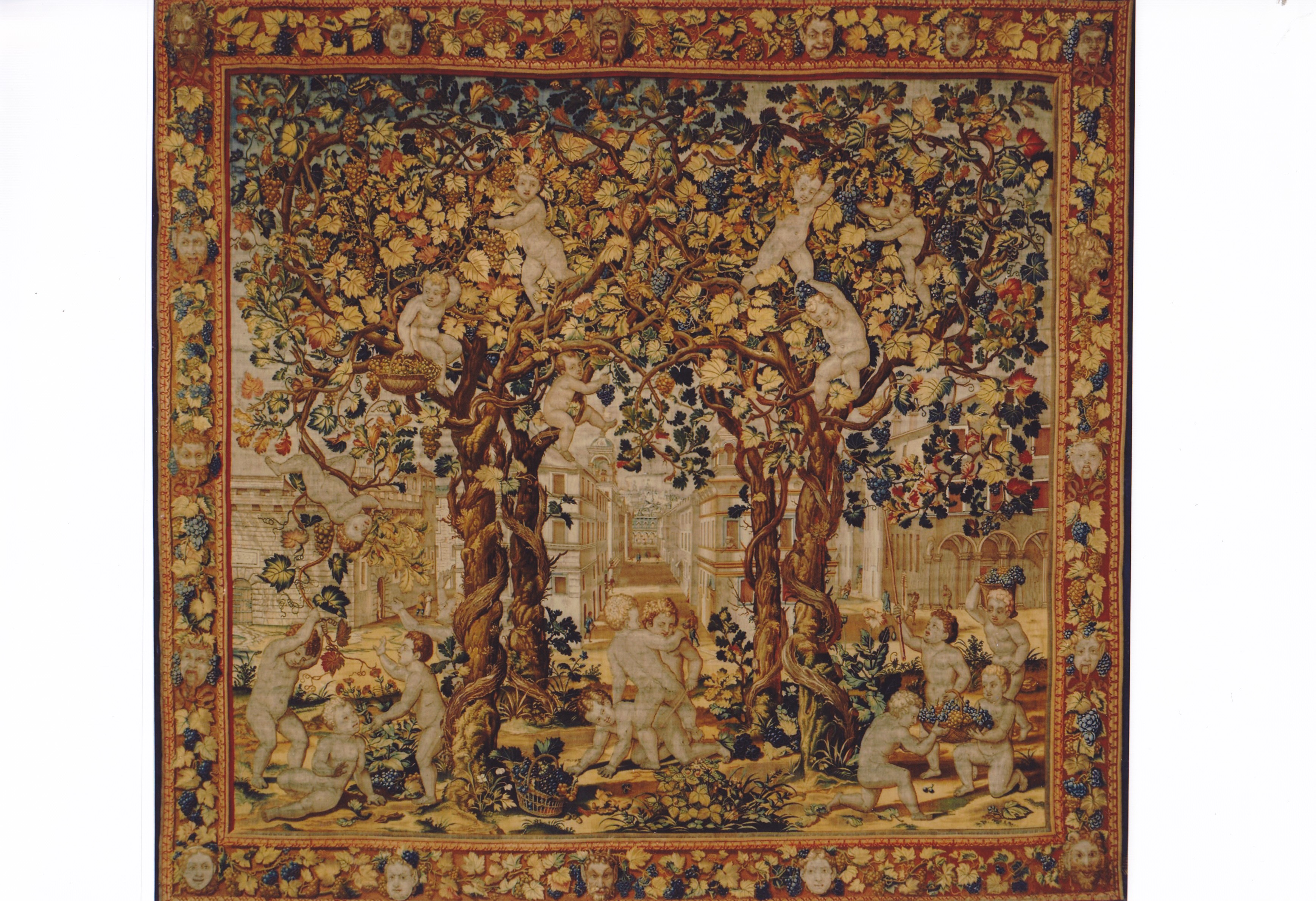 Putti vendemmiatori, putti vendemmiatori (arazzo) - ambito brussellese (XVI)