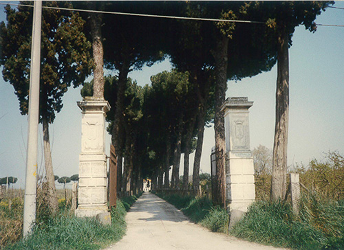 Masseria Fittipaldi (masseria, rurale) - Acerra (NA) 