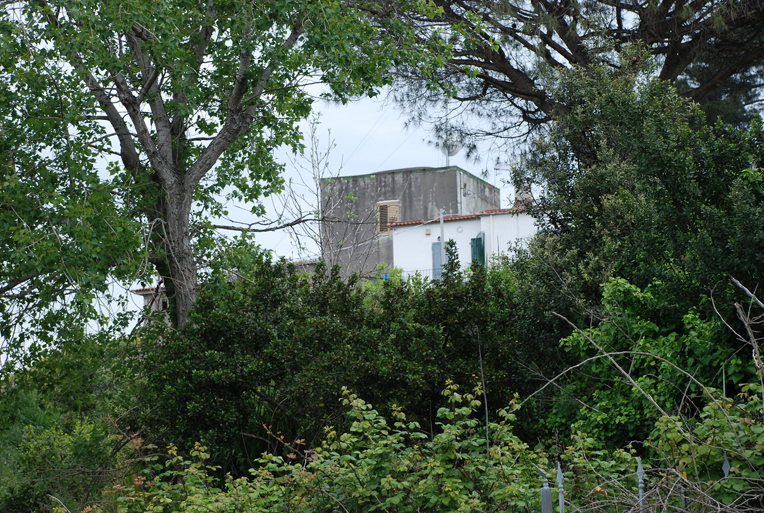 [Masseria Via Bellavista,99] (masseria, padronale) - Bacoli (NA) 