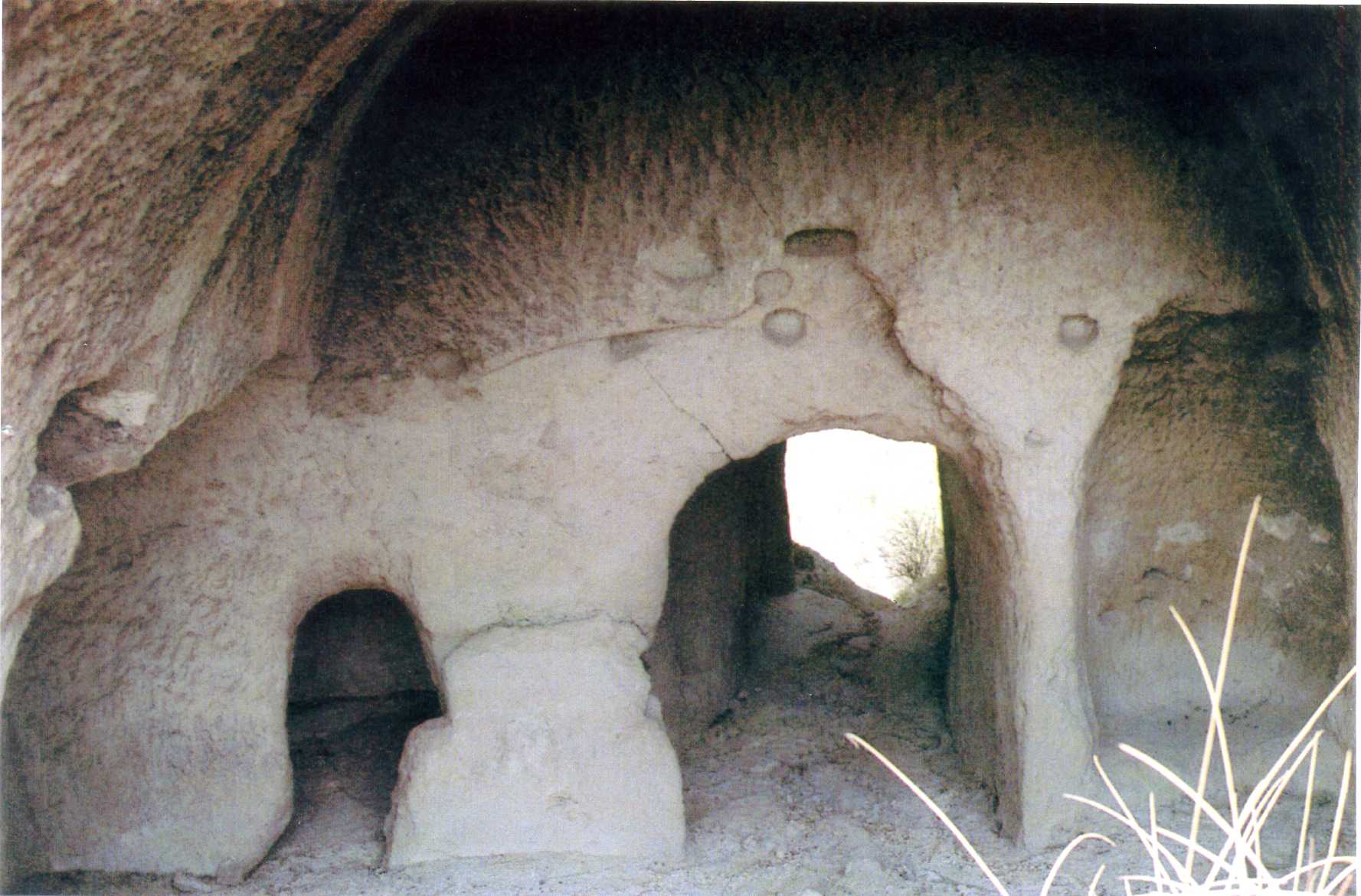 Ricovero rurale Pizzi di Don Andrea (rifugio) - Serrara Fontana (NA)  (XVIII)