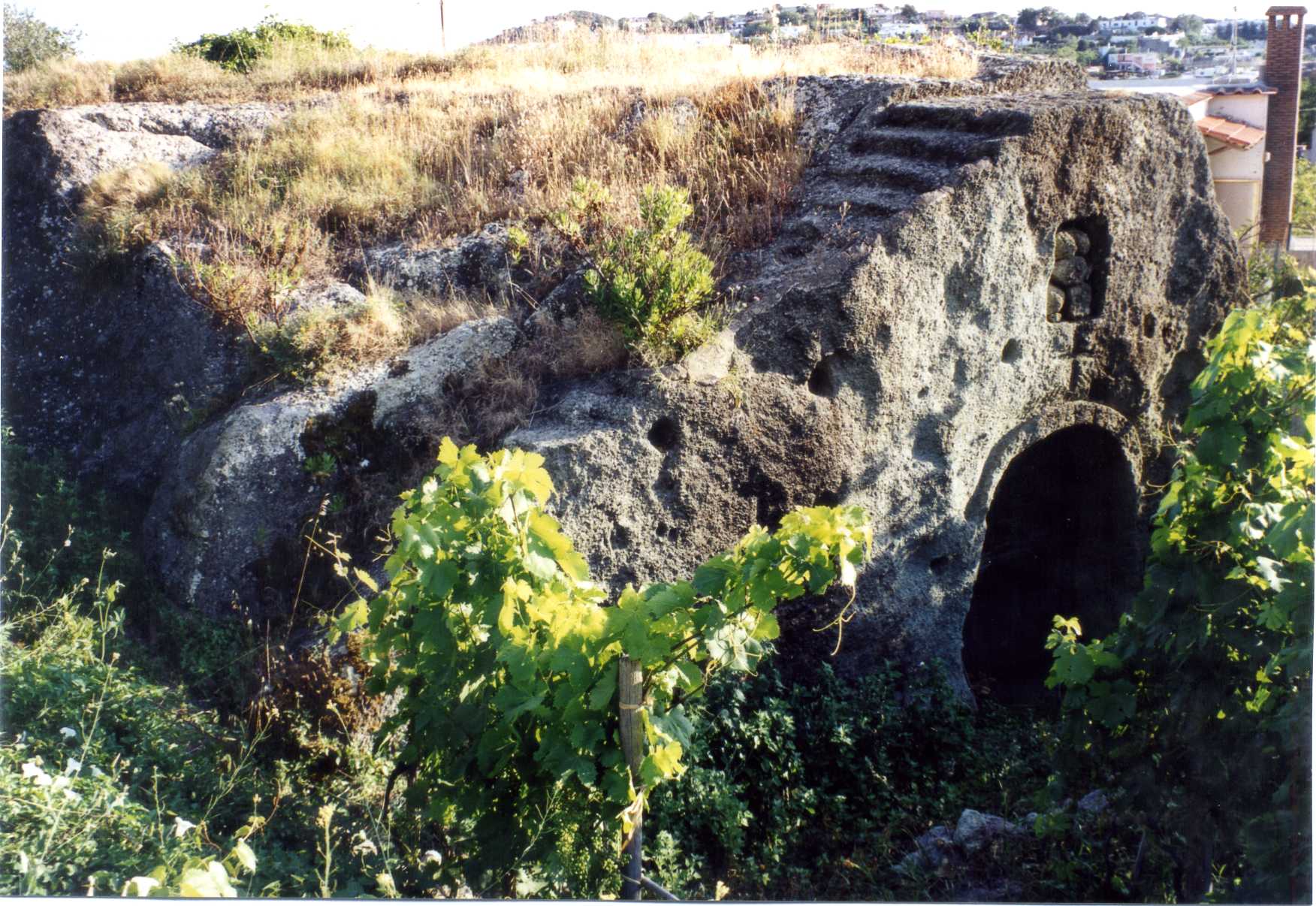 cellaio rurale (rimessa) - Forio (NA) 