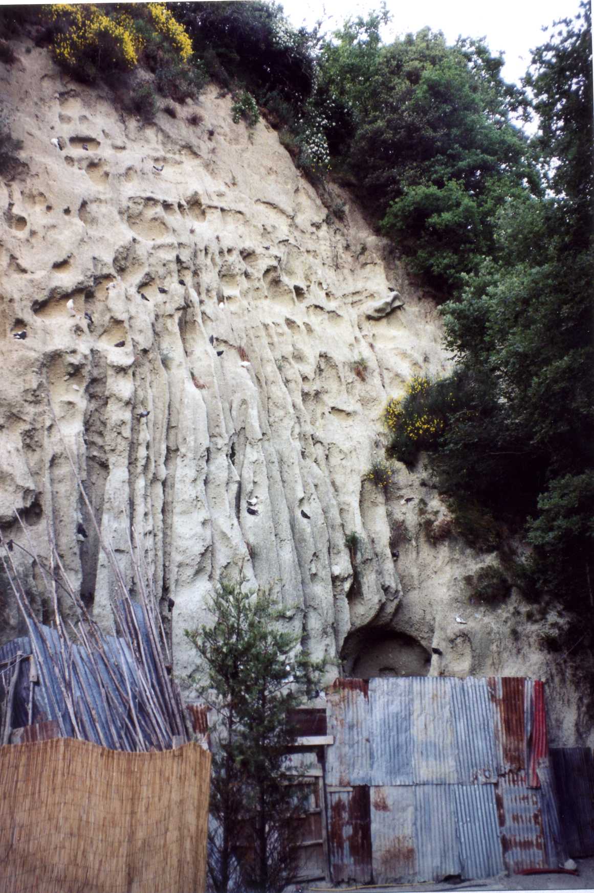 cellaio rurale (cascina) - Serrara Fontana (NA) 