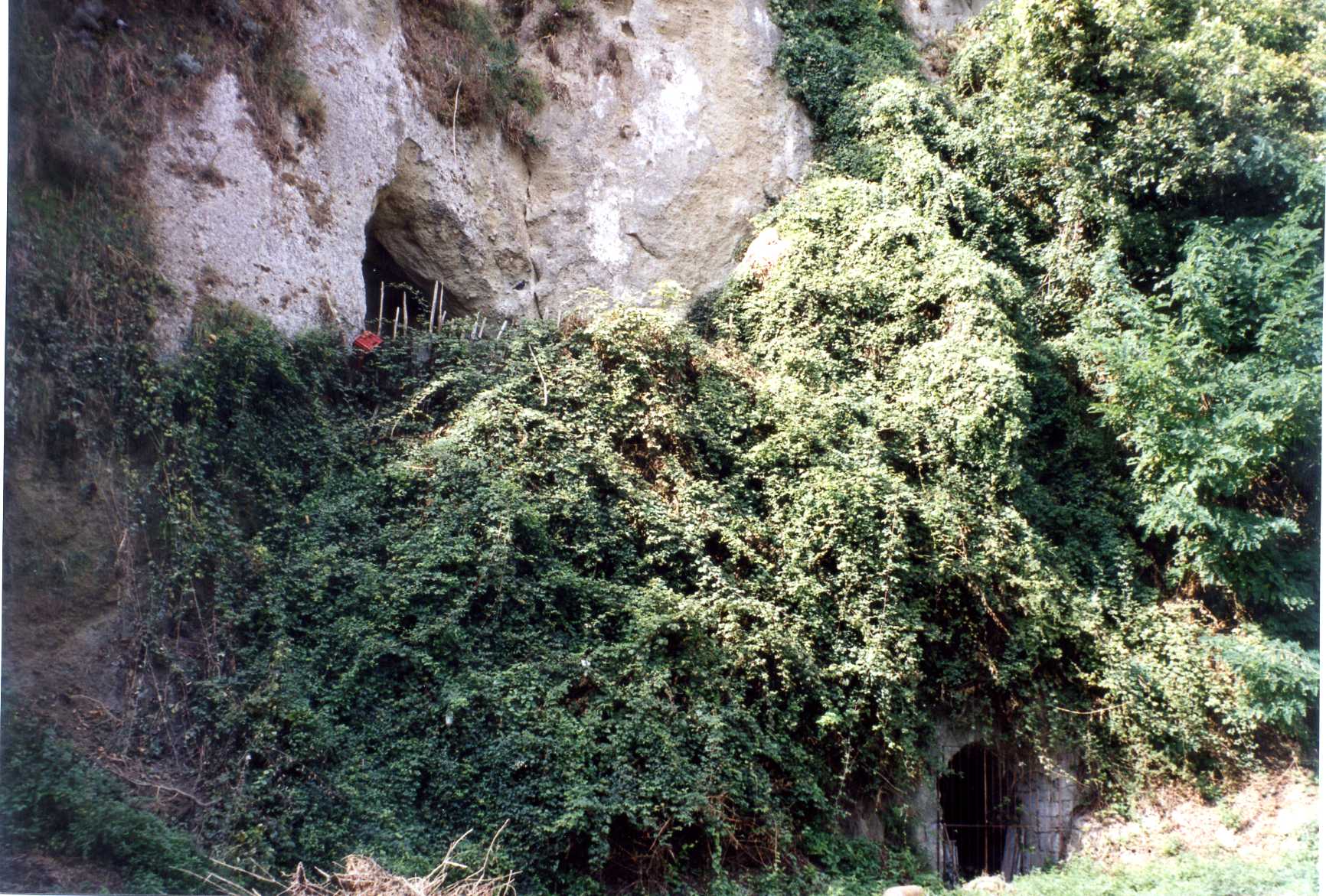 cellaio rurale (rimessa) - Serrara Fontana (NA) 