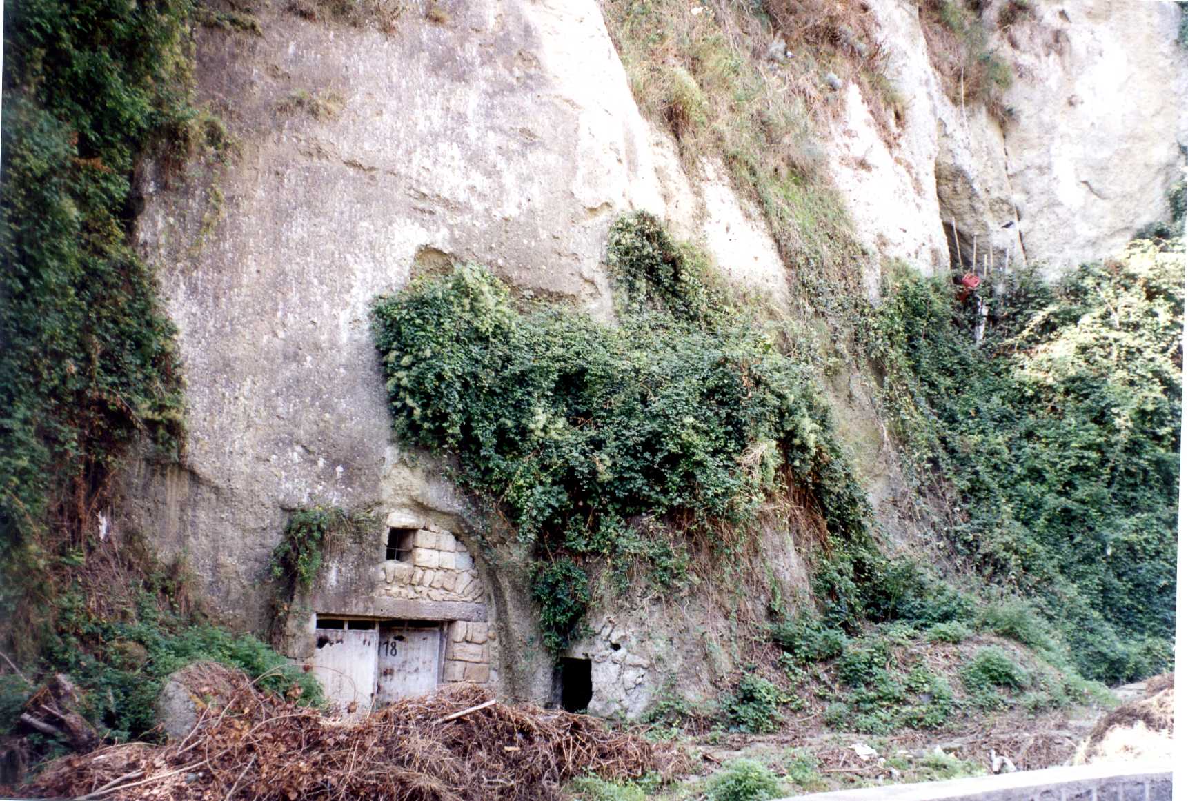 cellaio rurale (rimessa) - Serrara Fontana (NA) 