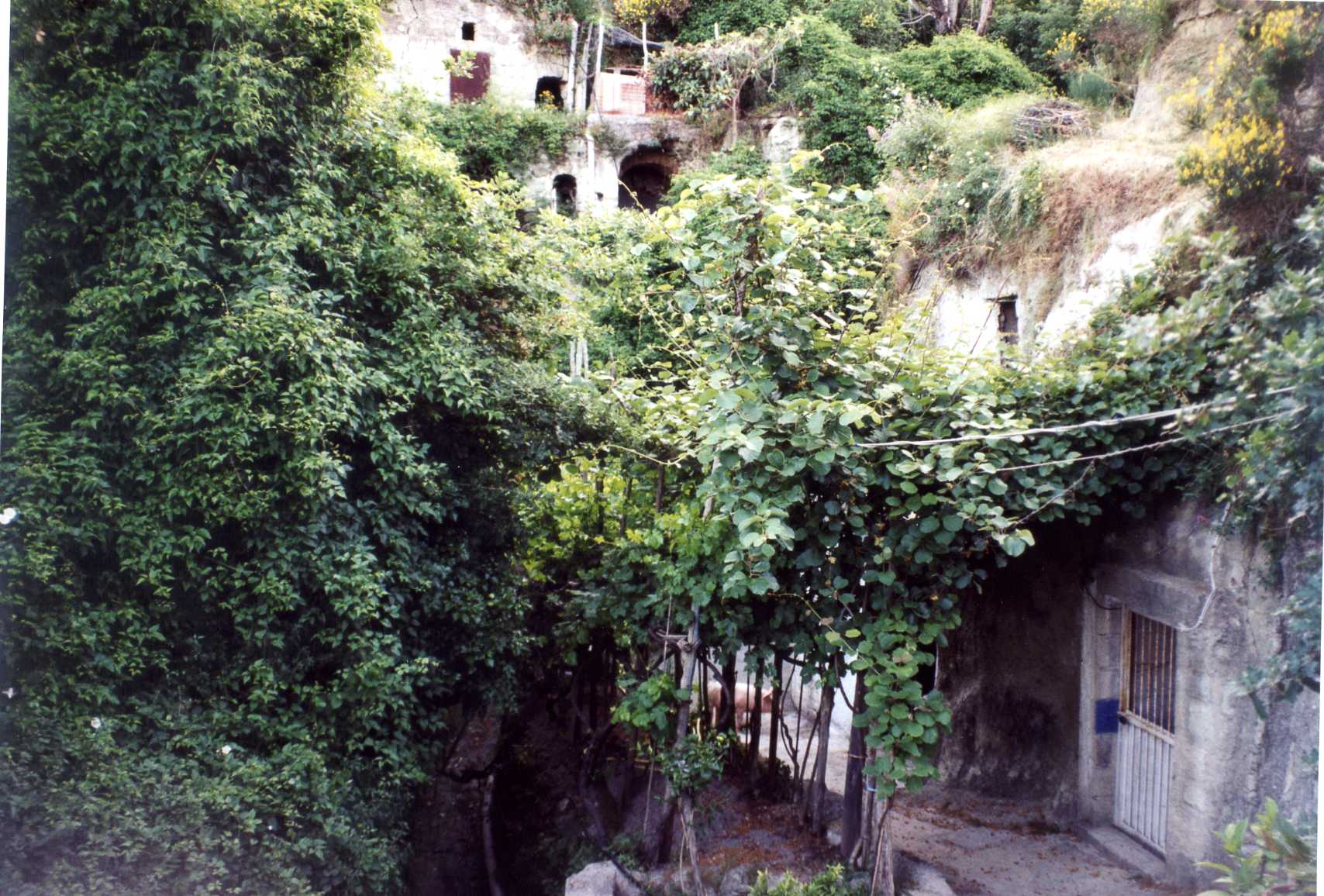 rurale (casa, colonica) - Serrara Fontana (NA) 