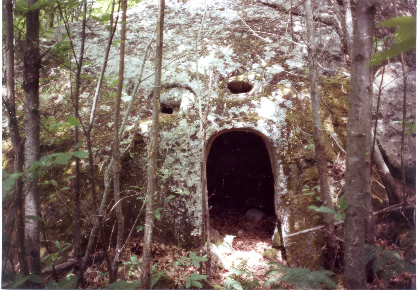 ricovero rurale temporaneo (rifugio) - Forio (NA)  (XVII)