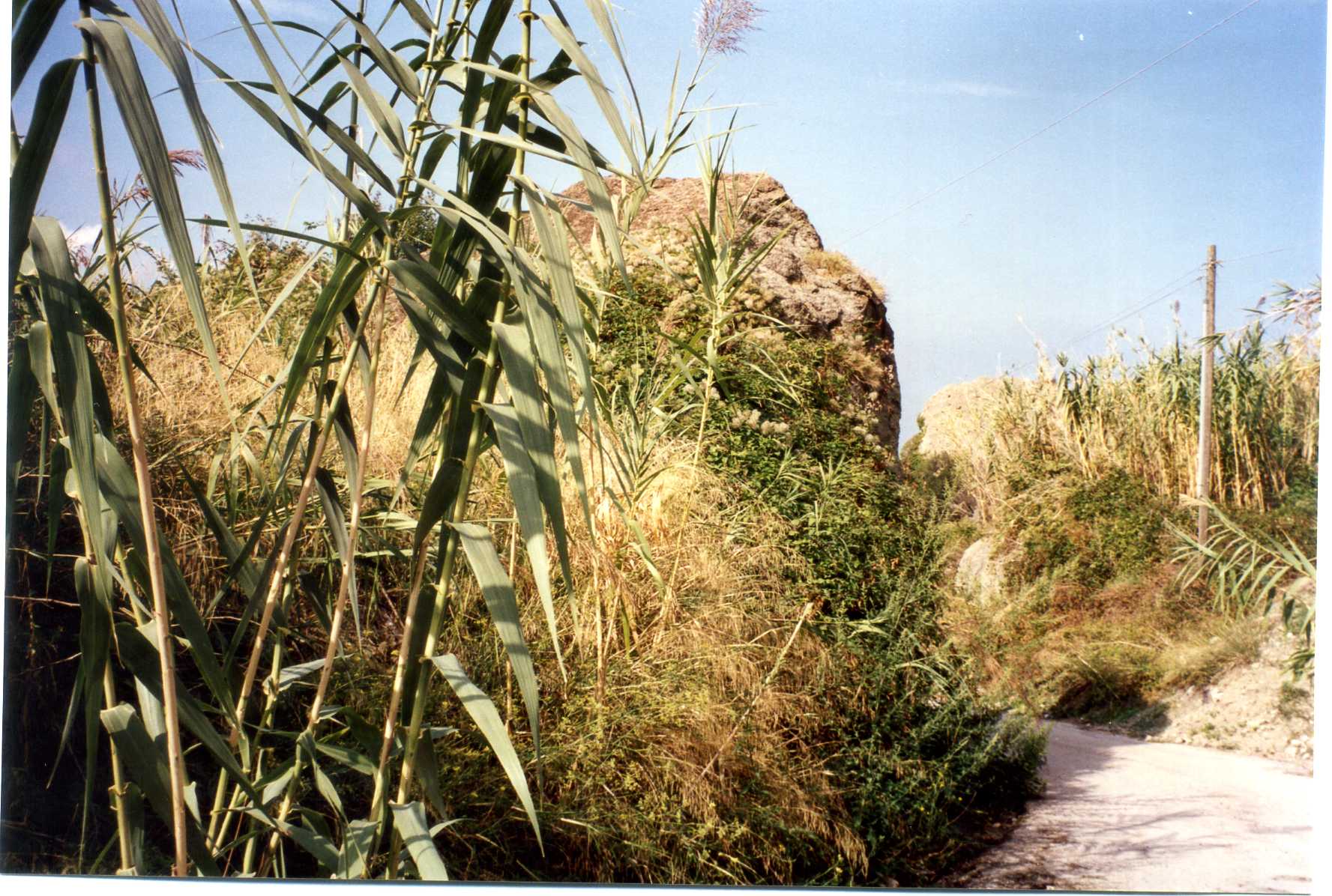 cisterna rurale (casale) - Forio (NA) 
