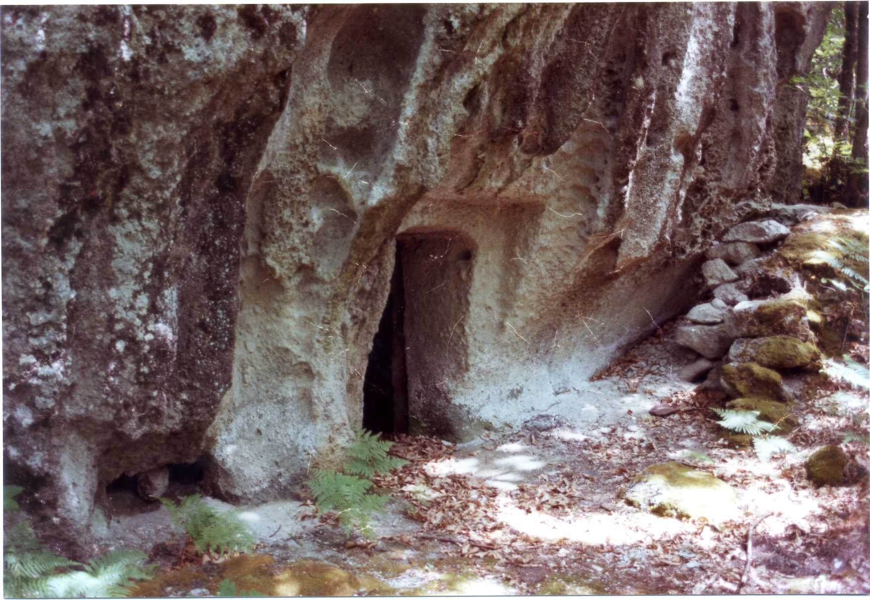 ricovero rurale temporaneo (rifugio) - Forio (NA)  (XVII)