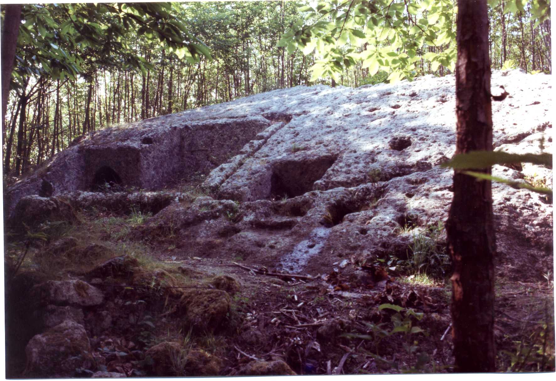 ricovero rurale temporaneo (rifugio) - Forio (NA)  (XVII)