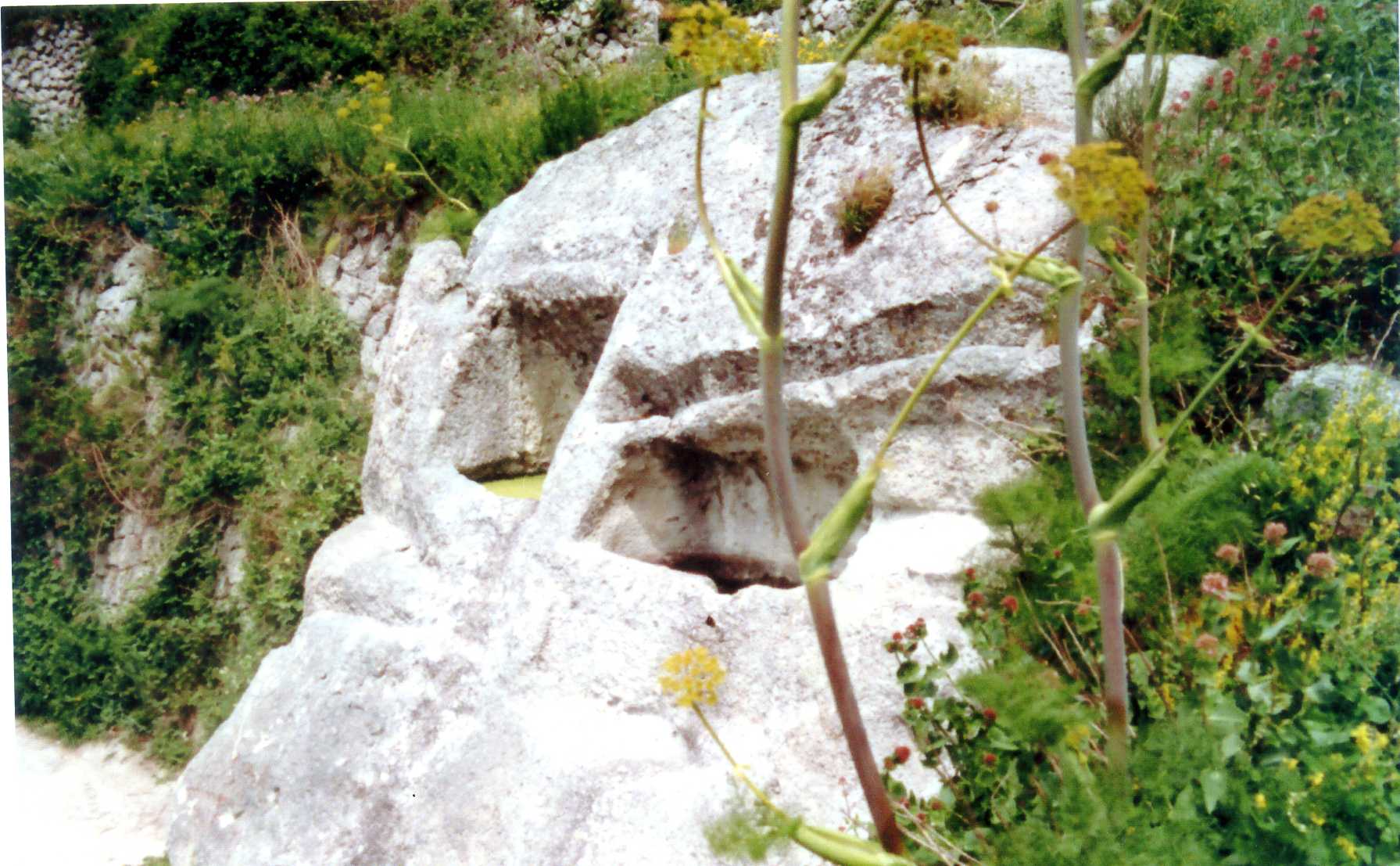 cisterna rurale (cisterna) - Forio (NA) 