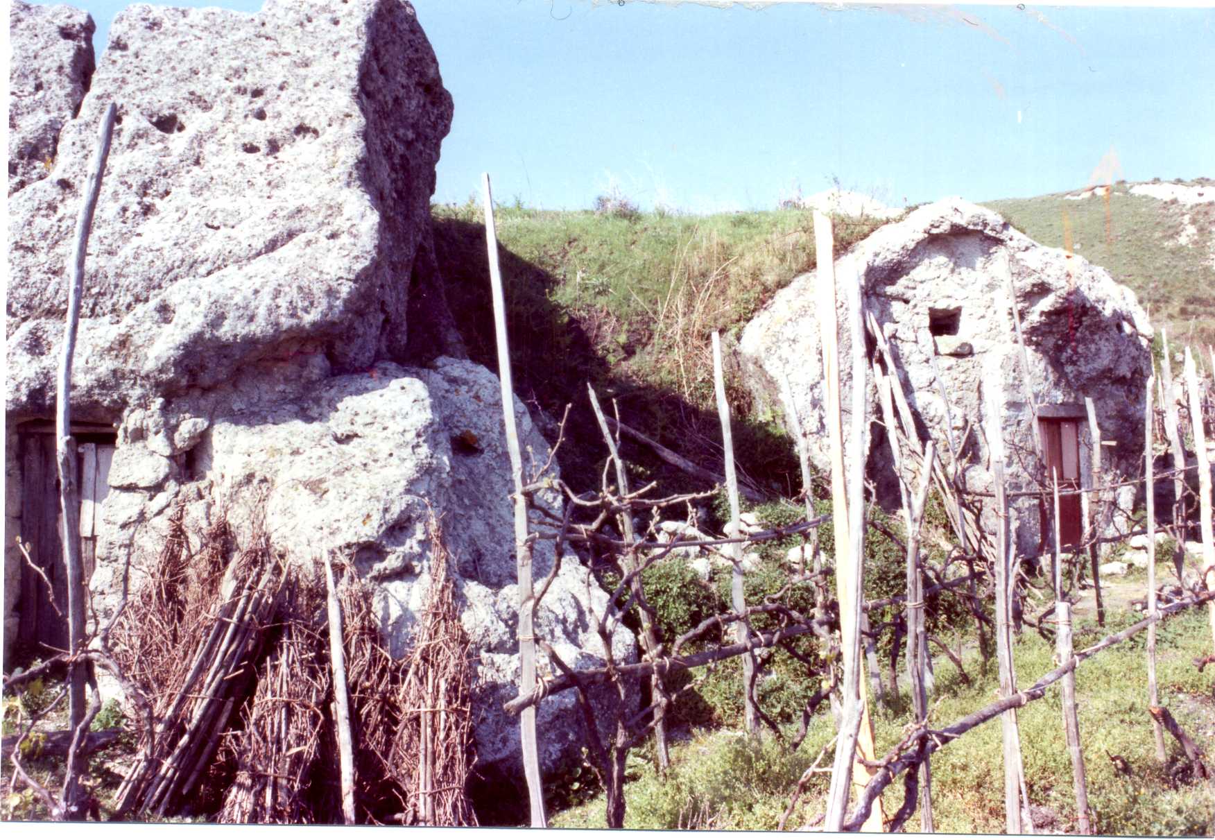 ricovero rurale temporaneo (capannone, agricolo) - Forio (NA)  (XVII)