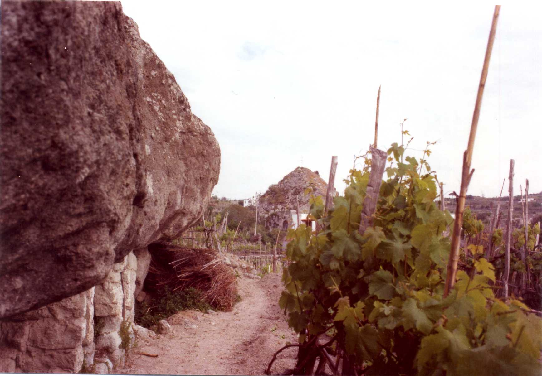 conigliera rurale (granaio) - Forio (NA) 