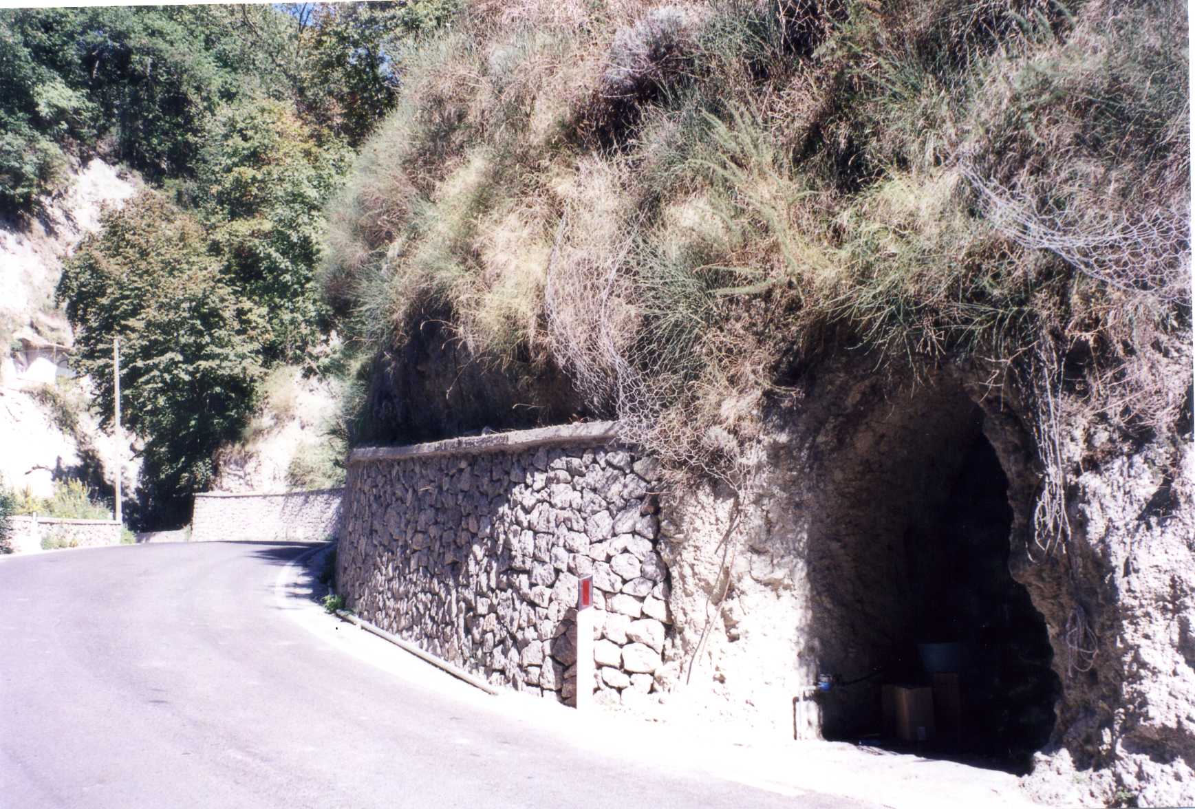 rimessa cellaio rurale (capannone, agricolo) - Barano d'Ischia (NA) 