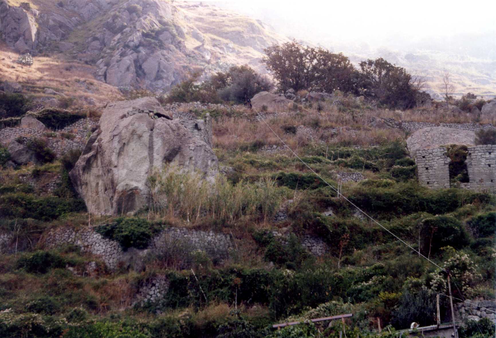 rurale (casa, colonica) - Forio (NA) 