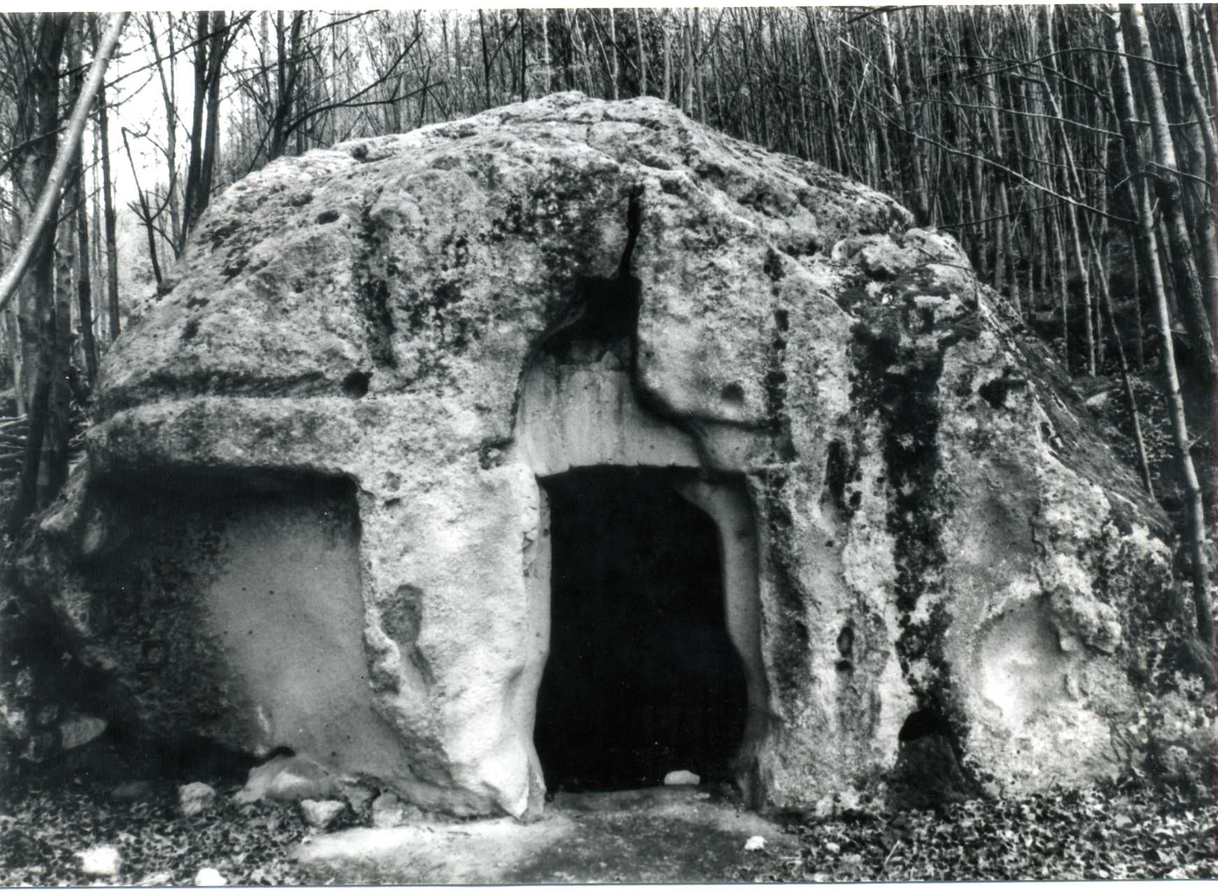 ricovero rurale temporaneo (rifugio) - Forio (NA)  (XVII)