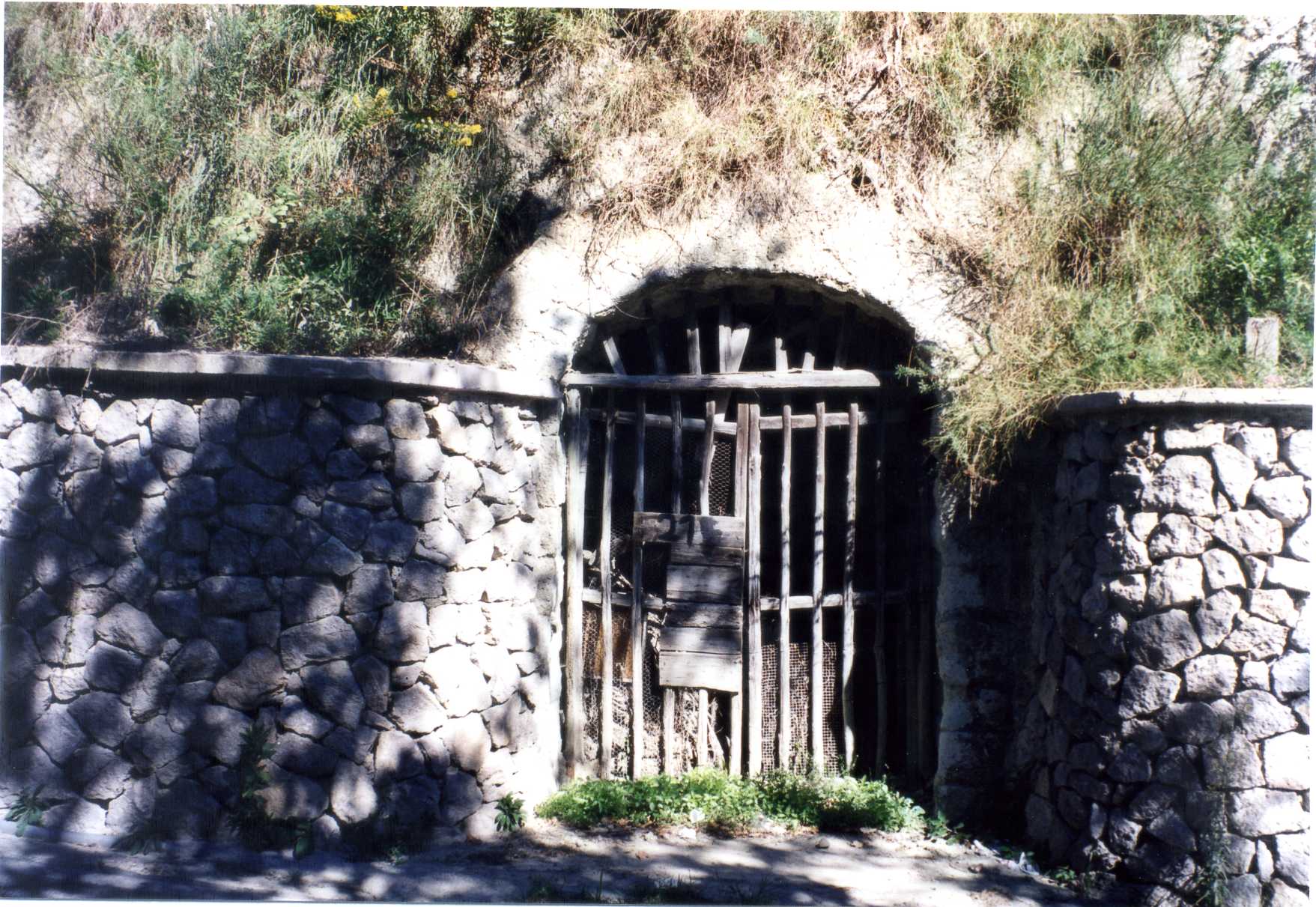 cellaio rurale (capannone, agricolo) - Serrara Fontana (NA) 