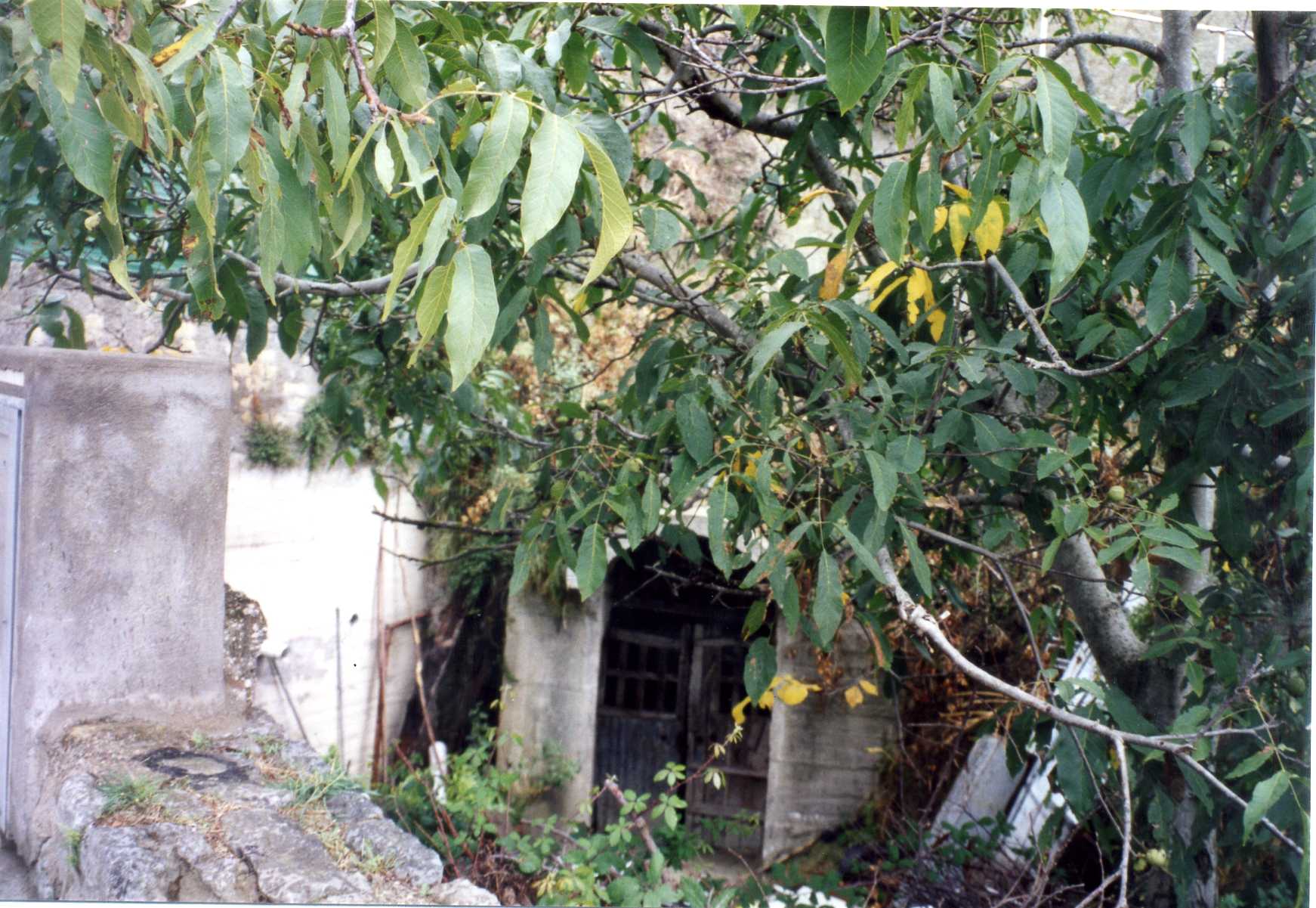 cellaio rurale (cascina) - Serrara Fontana (NA) 