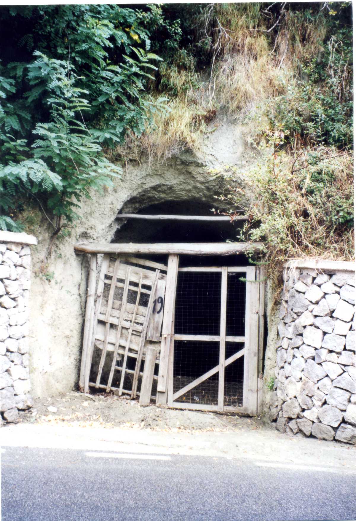 cellaio rurale (rimessa) - Serrara Fontana (NA) 