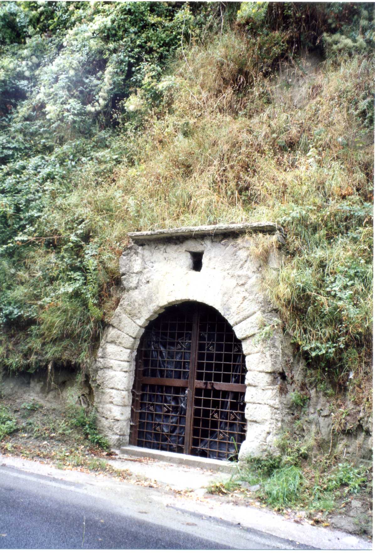 cellaio rurale (rimessa) - Serrara Fontana (NA) 