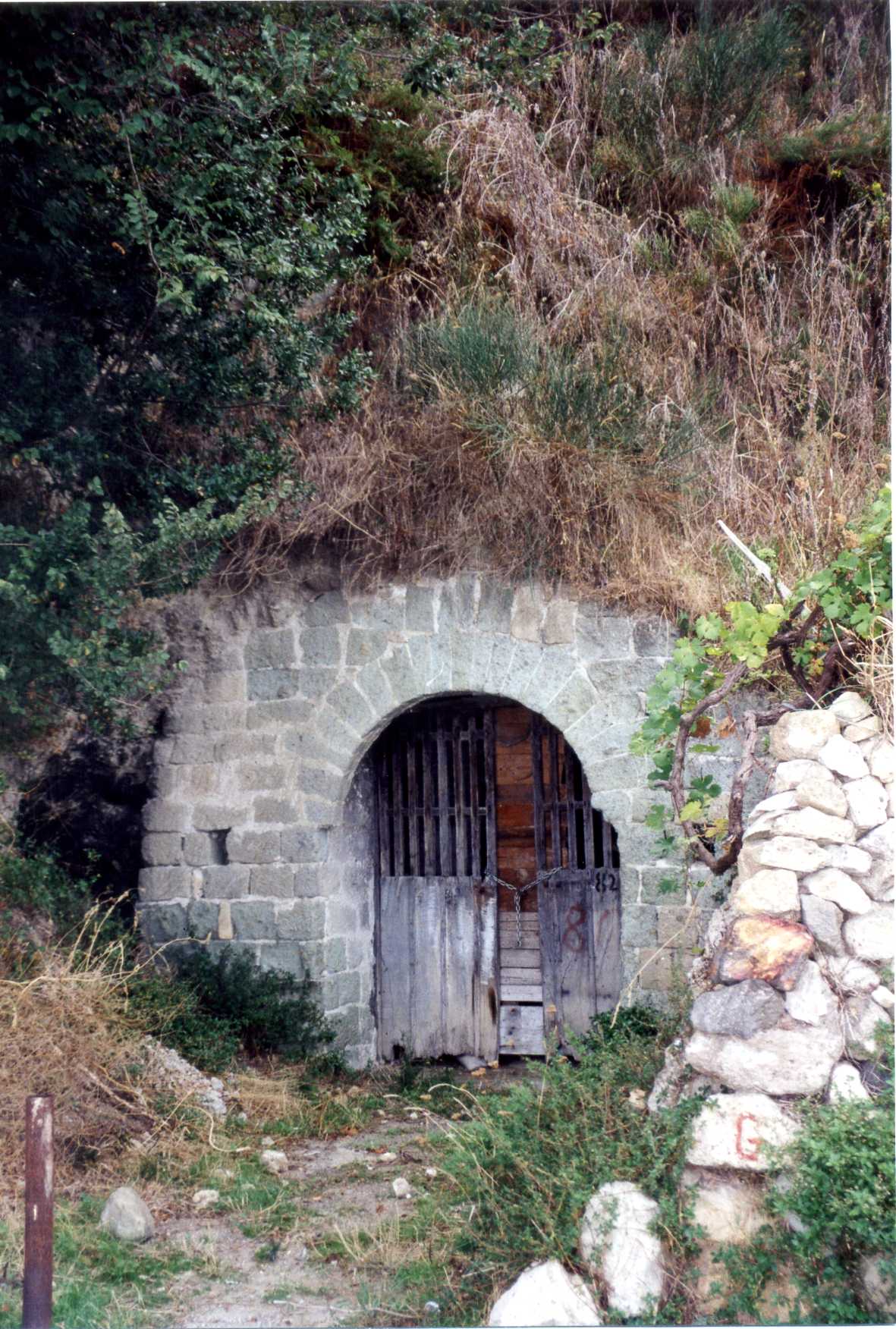 cellaio rurale (rimessa) - Serrara Fontana (NA) 