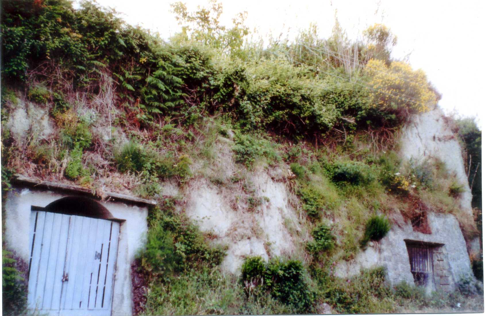 rimessa cellaio rurale (capannone, agricolo) - Serrara Fontana (NA) 