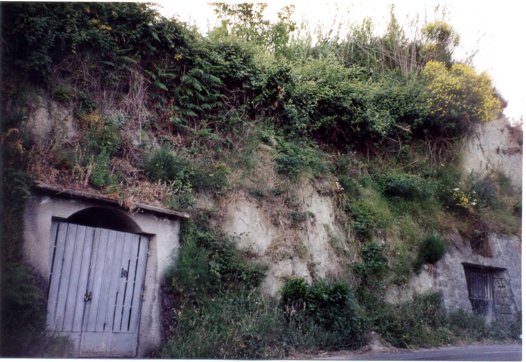 cellaio rurale (rimessa) - Serrara Fontana (NA) 