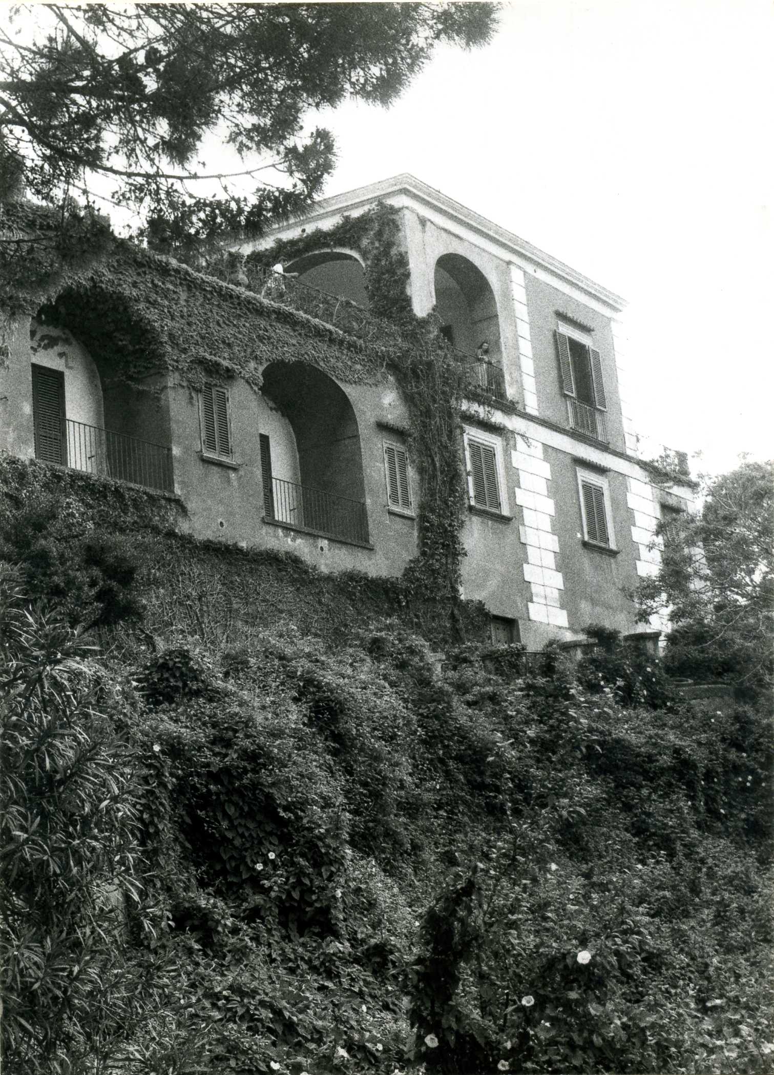 Villa Arbusto (villa, nobiliare) - Lacco Ameno (NA) 