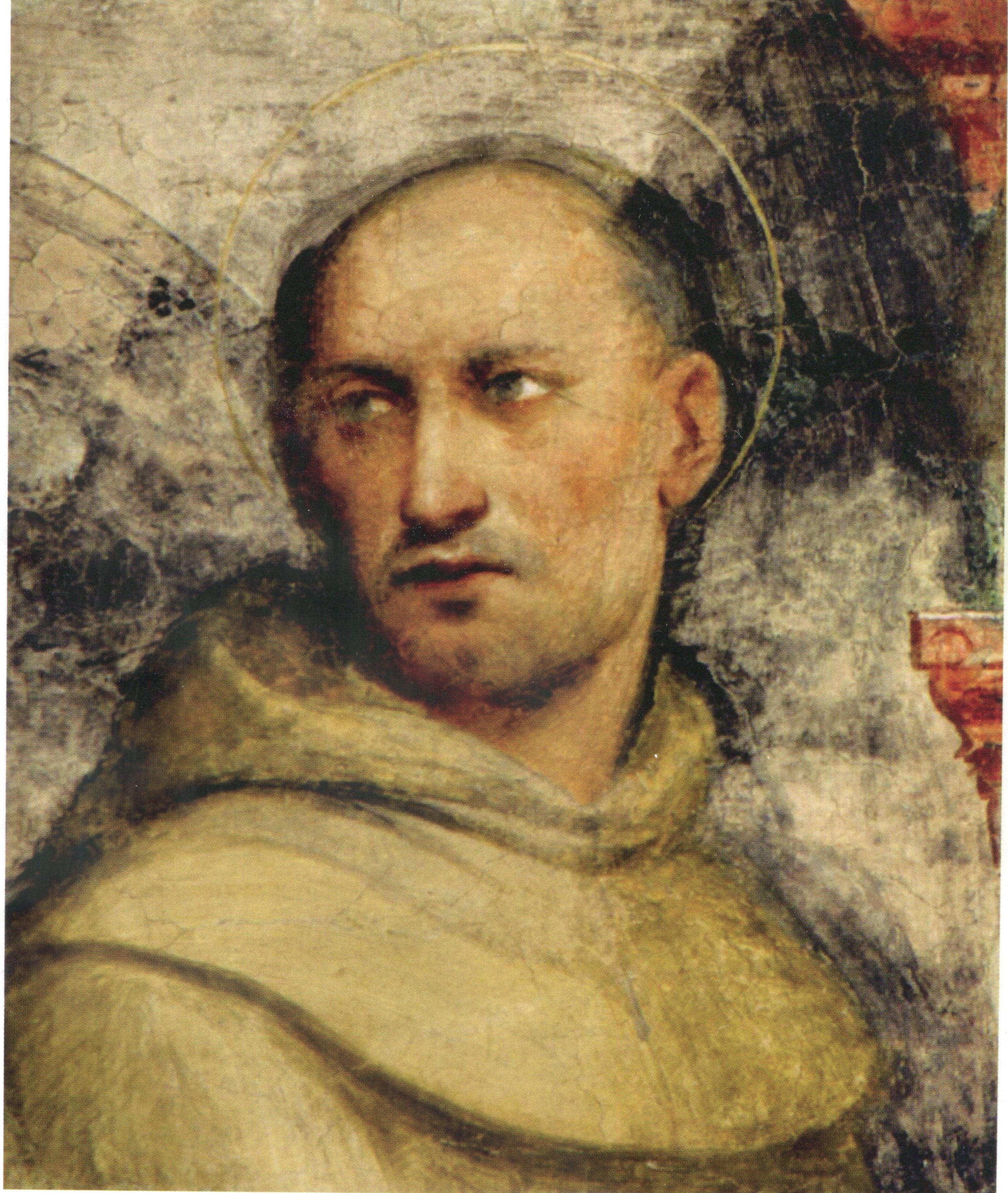 Testa di santo francescano, Testa (affresco, frammento) di Giovanni Antonio de' Sacchis (attribuito) - ambito friulano (prima metà XVI)