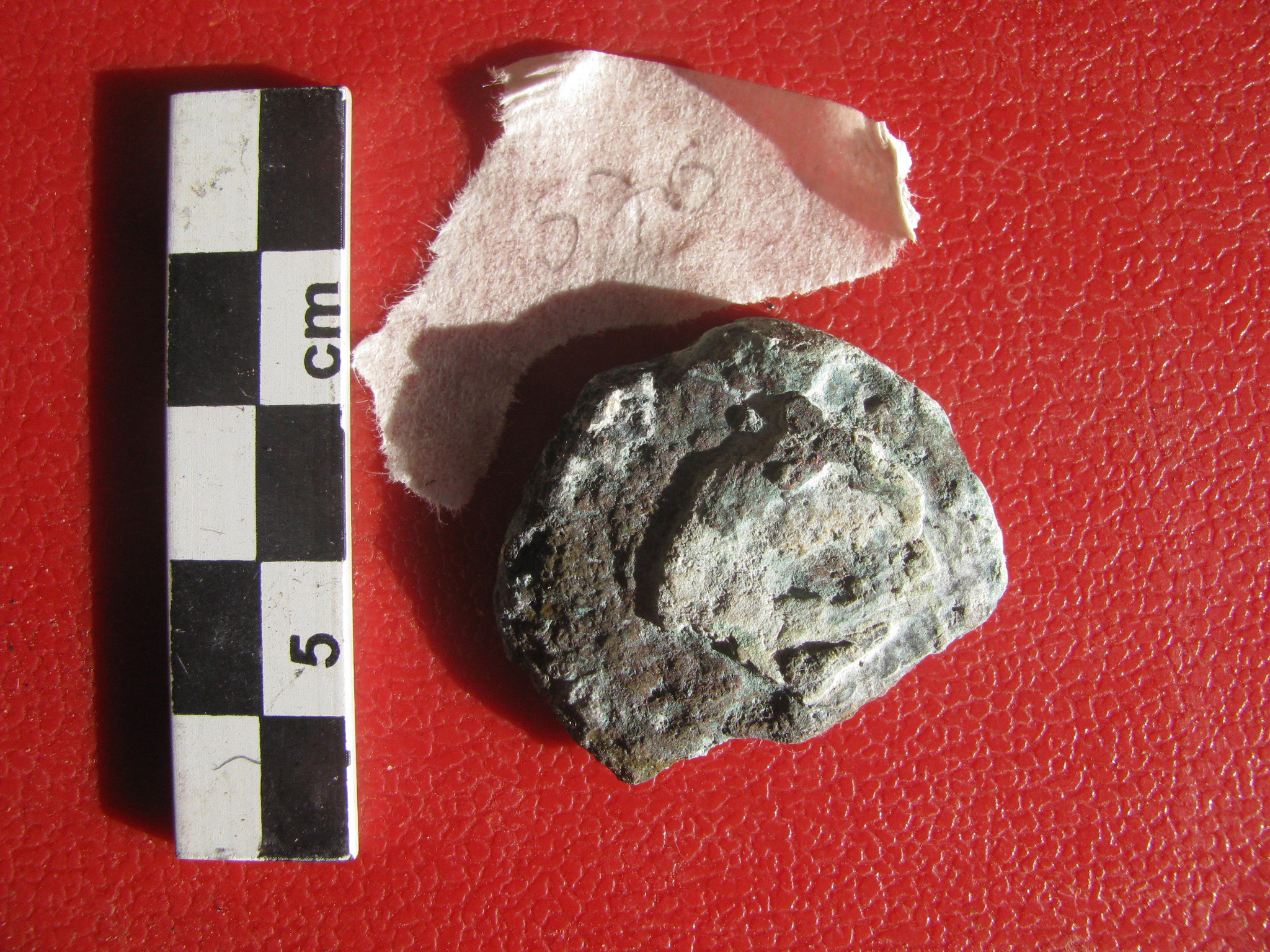 moneta - Asse (PERIODIZZAZIONI/ Storia/ Eta' antica/ Eta' romana/ Eta' romana repubblicana)