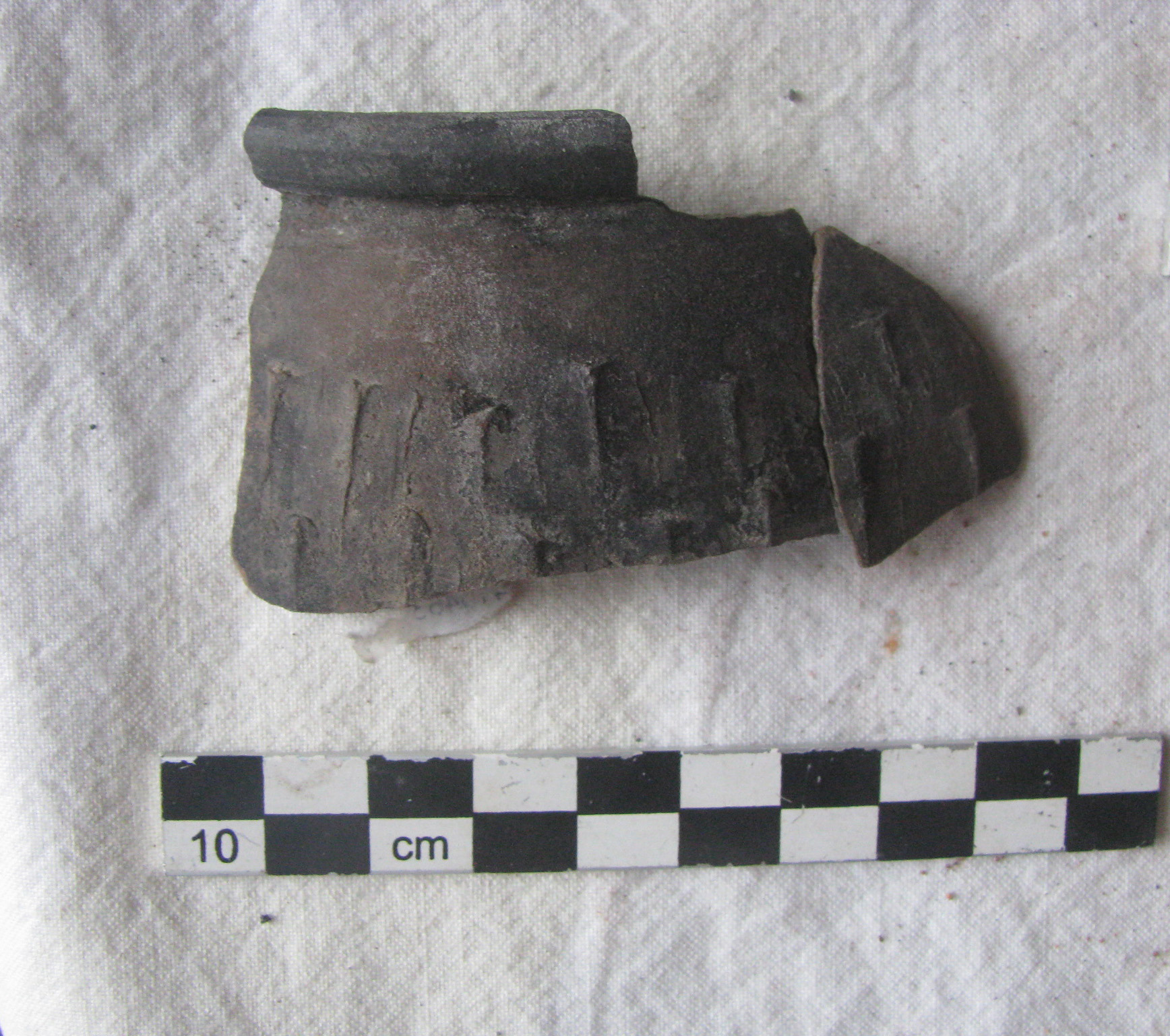 bicchiere, Mayet IIIa.45 (seconda metà SECOLI/ I a.C)