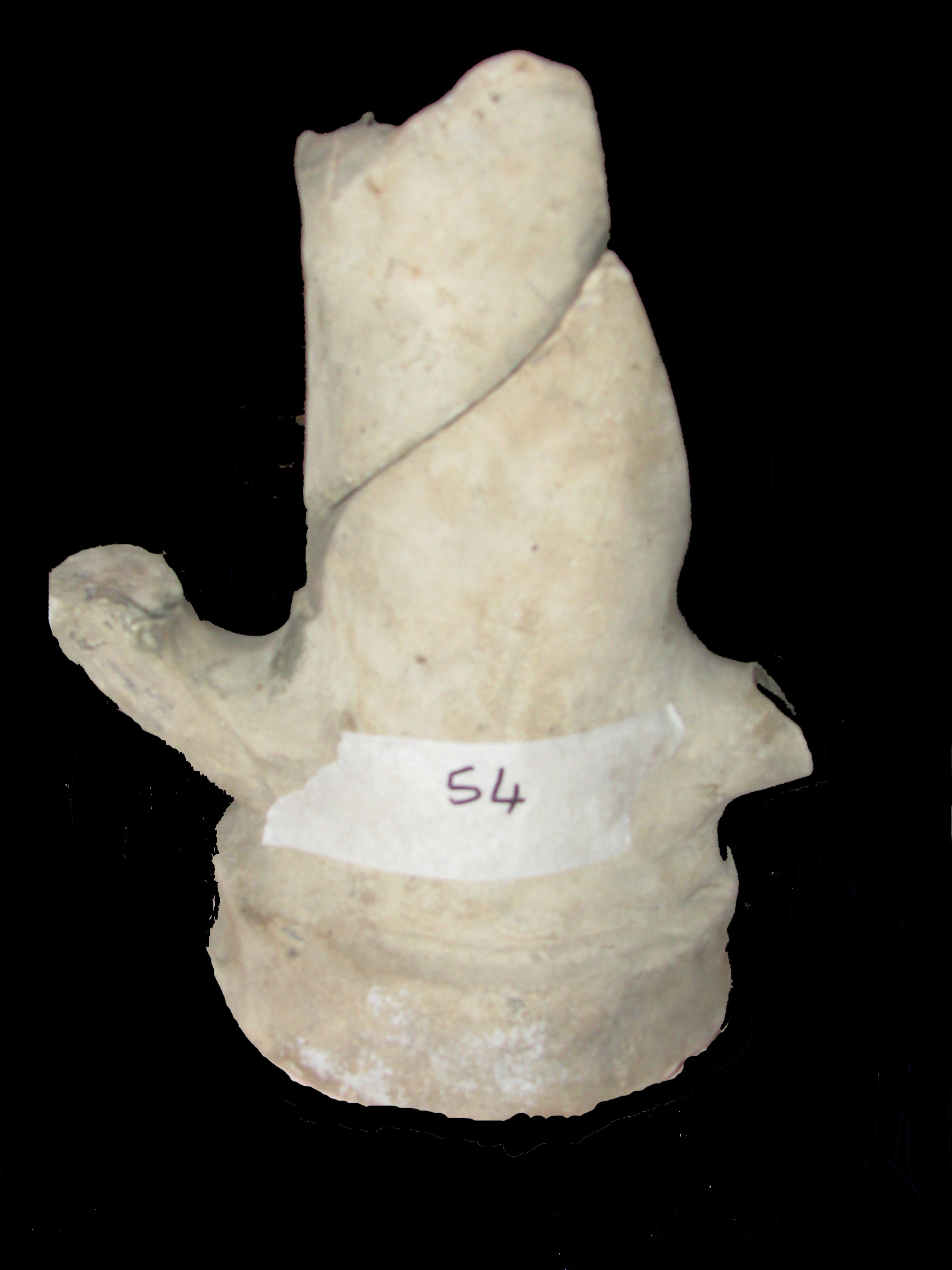 anfora, Dressel 1A (fine/ inizio SECOLI/ II a.C./ secc. II/ I a.C)