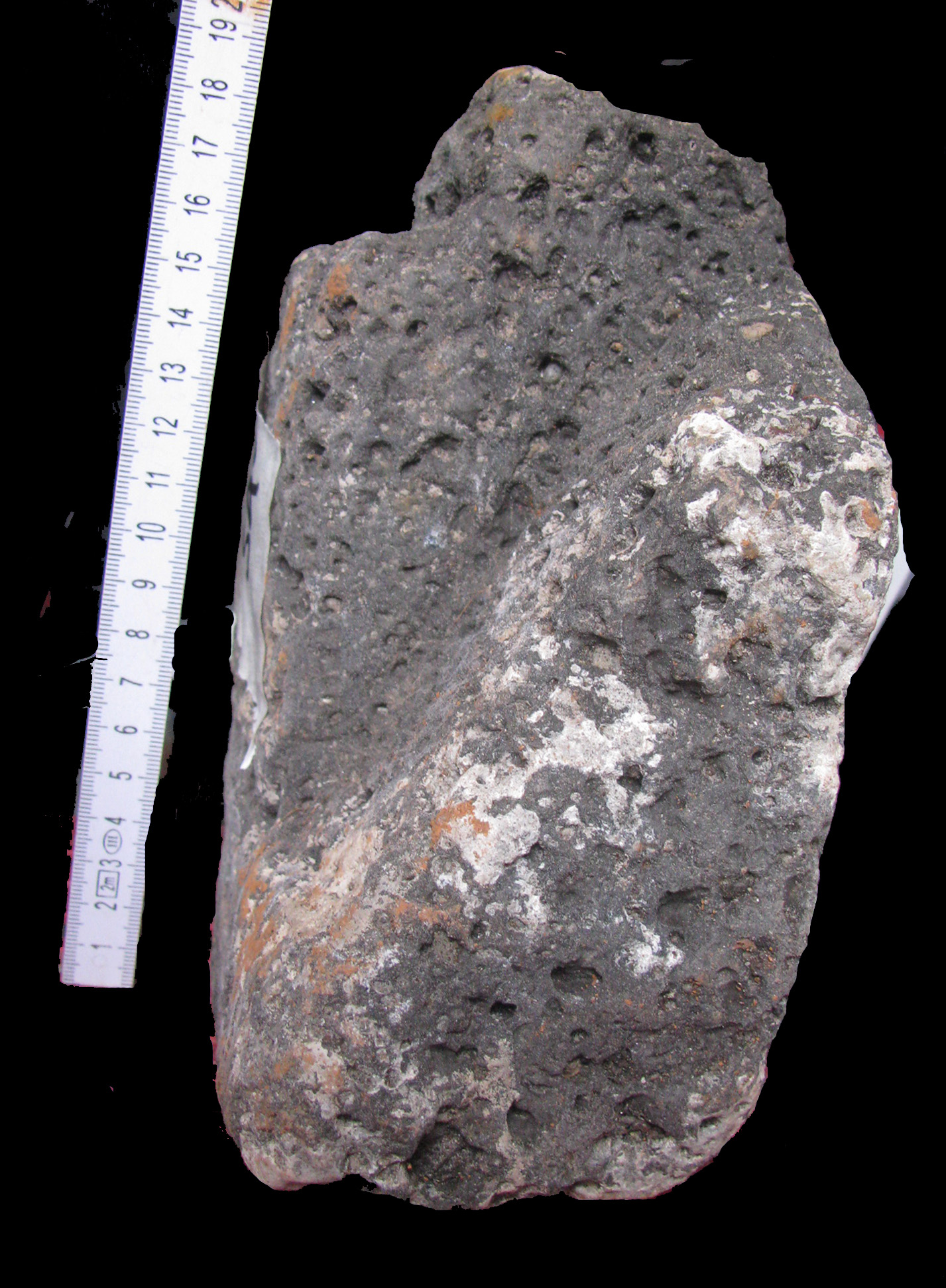 macina (PERIODIZZAZIONI/ Storia/ Eta' antica/ Eta' romana/ Eta' romana repubblicana)