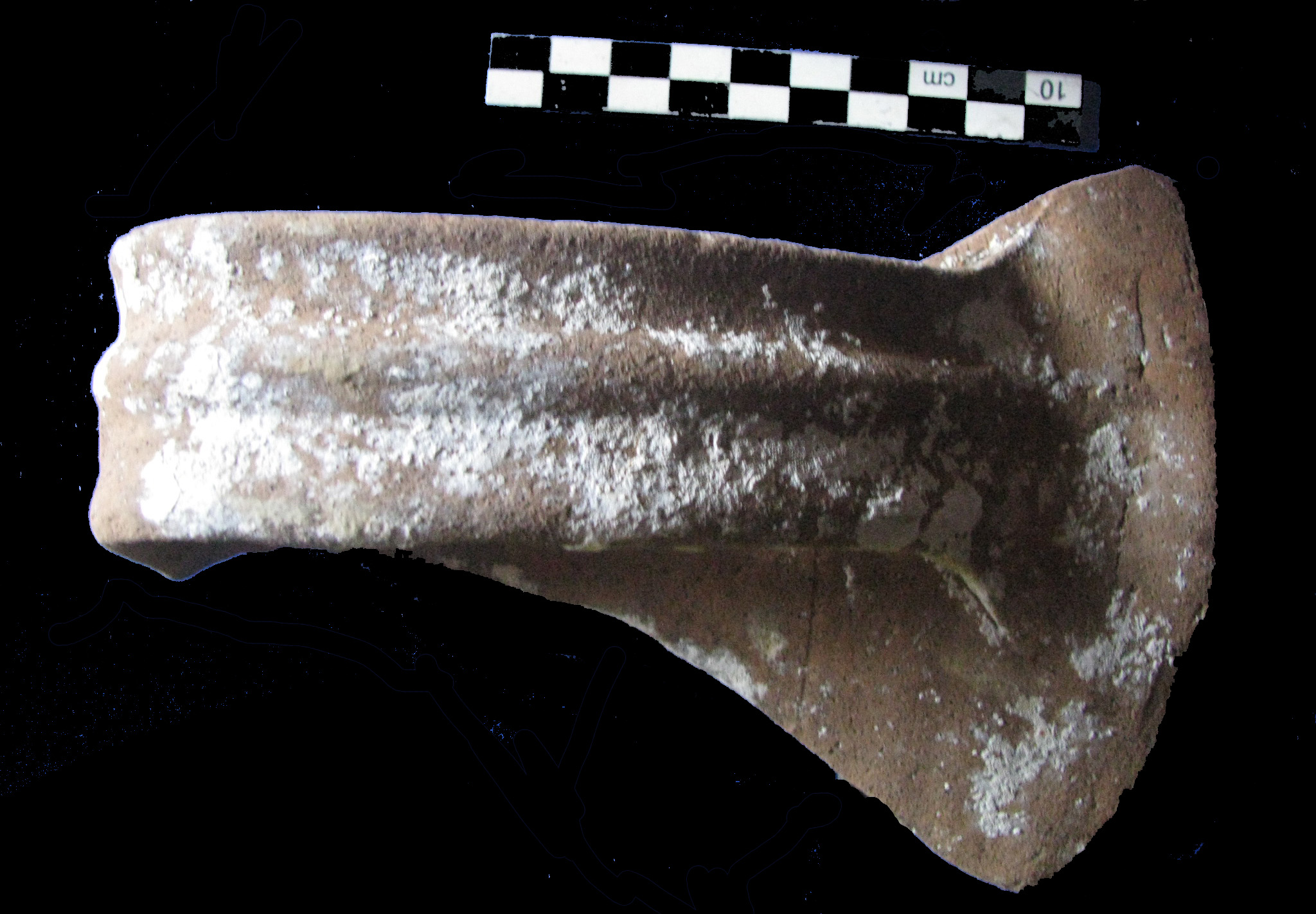 olla (PERIODIZZAZIONI/ Storia/ Eta' antica/ Eta' romana)