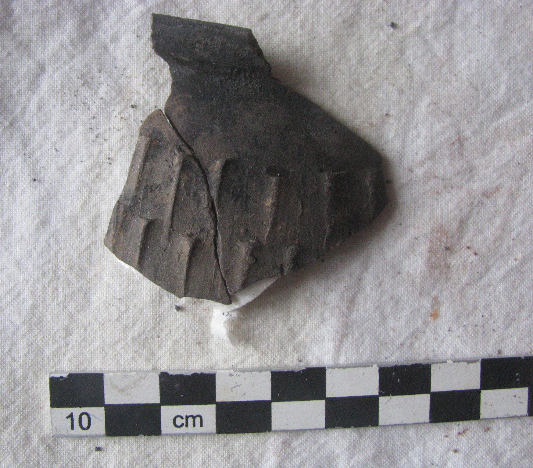 bicchiere, Mayet IIIB.64 (seconda metà SECOLI/ I a.C)