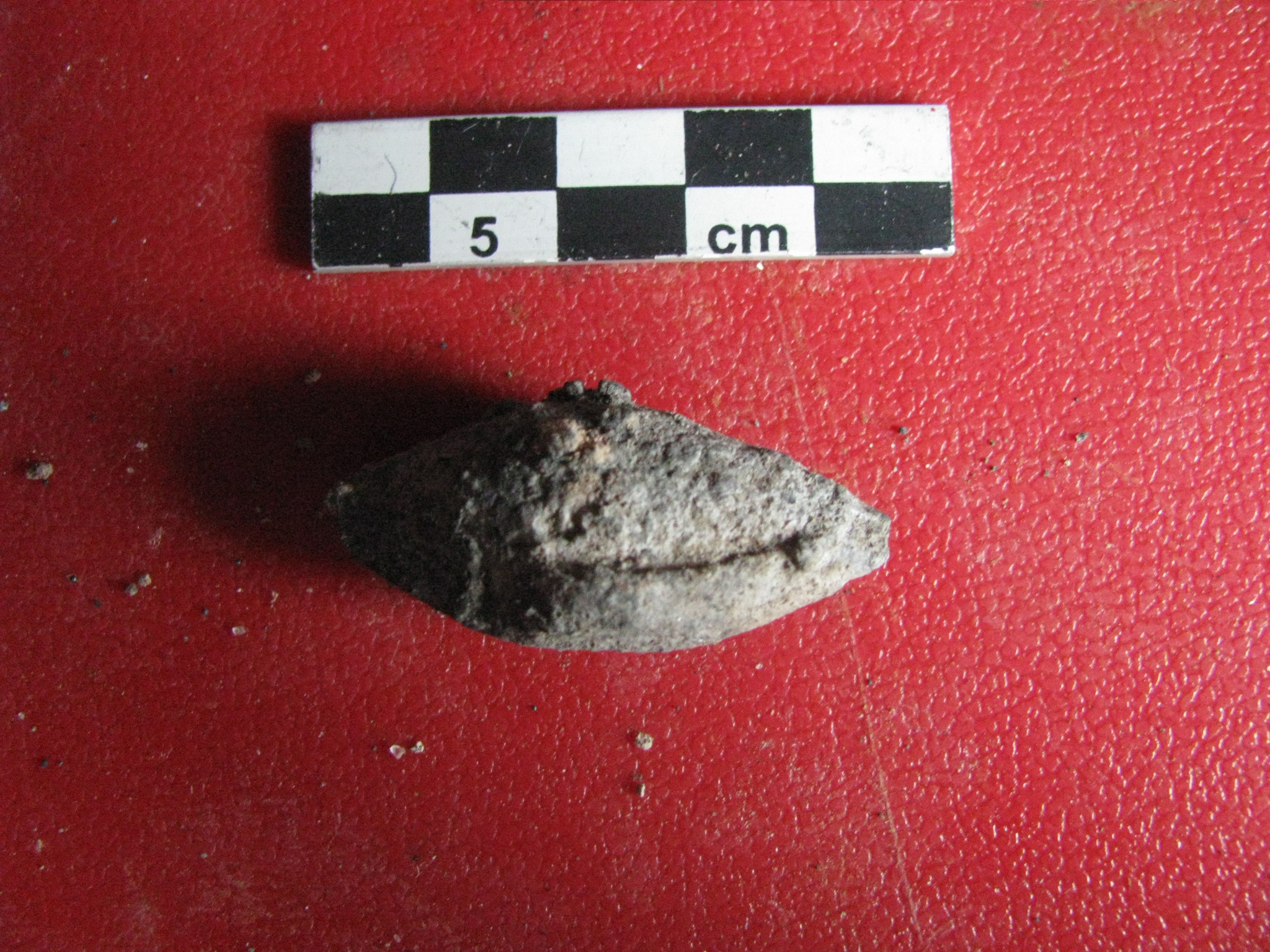 proiettile (SECOLI/ ARCHI DI SECOLI/ secc. IV a.C./ II d.C)