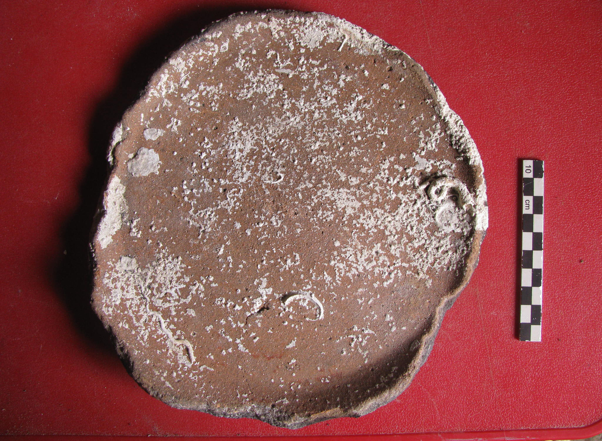 tegame (PERIODIZZAZIONI/ Storia/ Eta' antica/ Eta' romana)