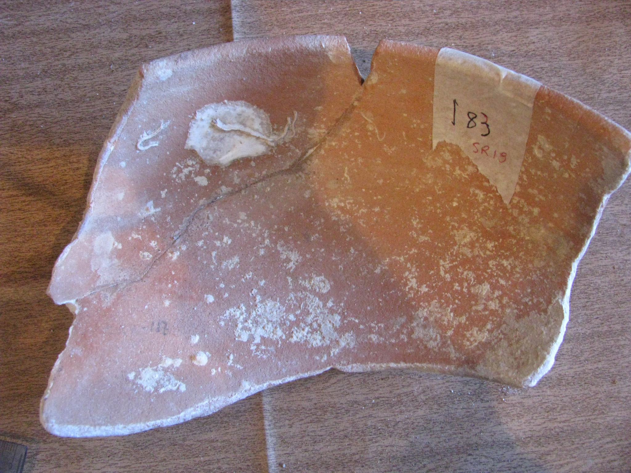 coppa (PERIODIZZAZIONI/ Storia/ Eta' medievale)