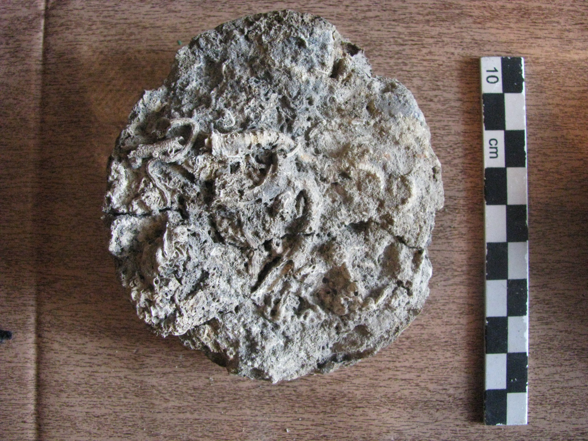 tappo (PERIODIZZAZIONI/ Storia/ Eta' antica/ Eta' romana)