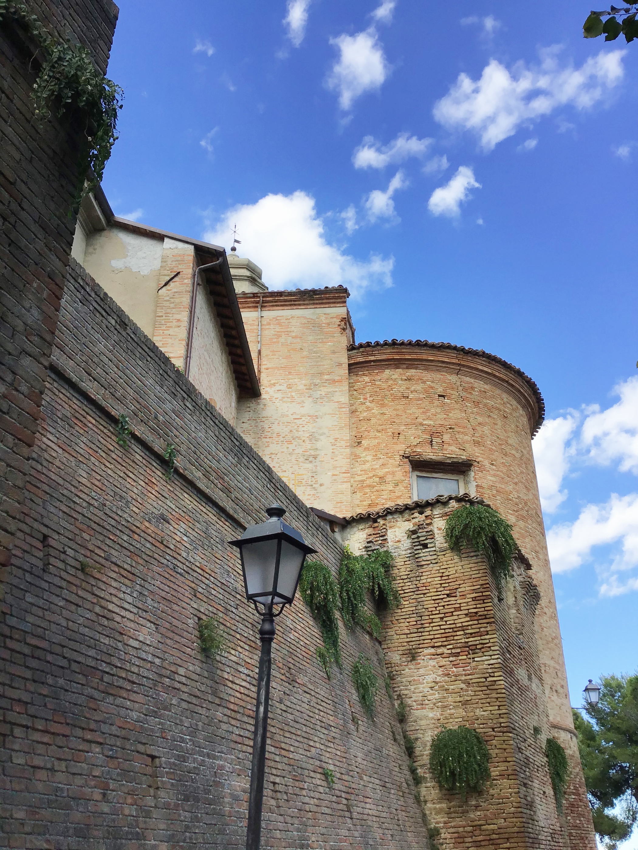 Mura del Castello di Mondavio (mura, castellane) - Mondavio (PU) 