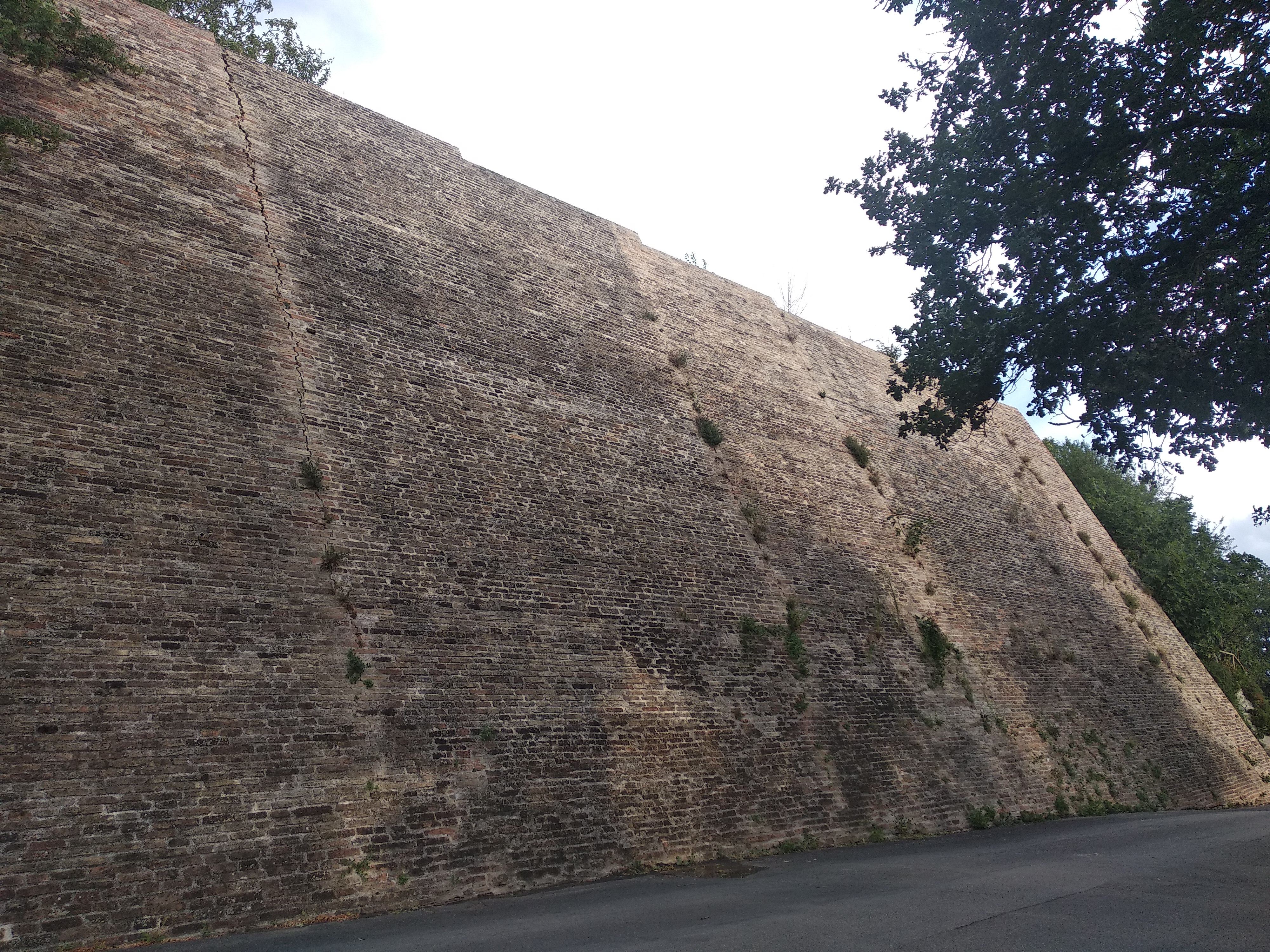Mura castellane (mura, castellane) - Montefelcino (PU) 