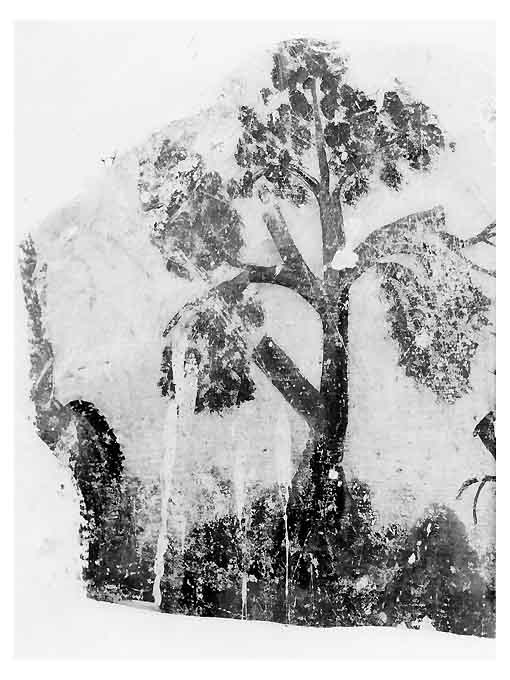 Albero (dipinto, frammento) - bottega pugliese (metà sec. XVII)