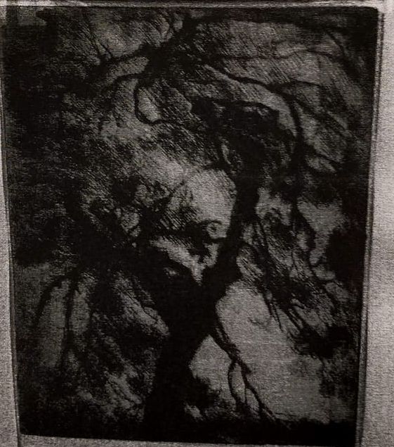 Tempesta sull'albero, albero (stampa) di Checchi Fettucciari Zena (attribuito) (sec. XX)