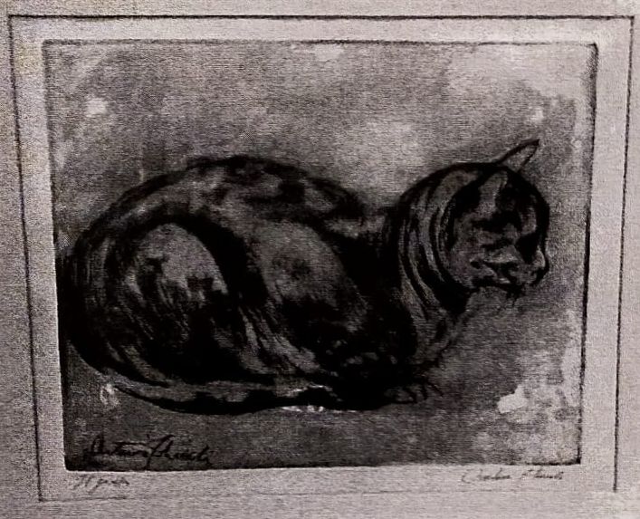 Il gatto, gatto (stampa) di Checchi Arturo (attribuito) (sec. XX)