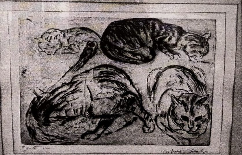 I gatti, gatti (stampa) di Checchi Arturo (attribuito) (sec. XX)