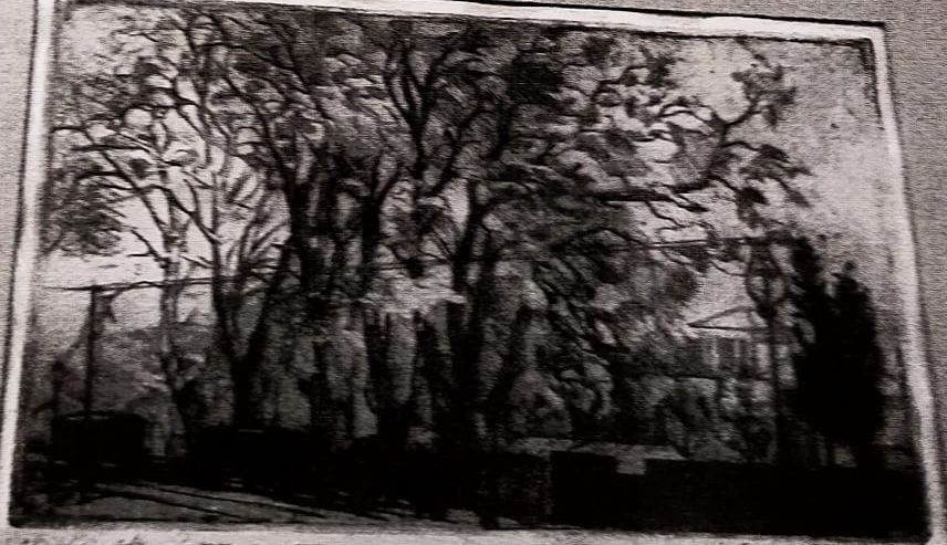 Gli alberi della stazione a Perugia, veduta di città (stampa) di Checchi Fettucciari Zena (attribuito) (sec. XX)